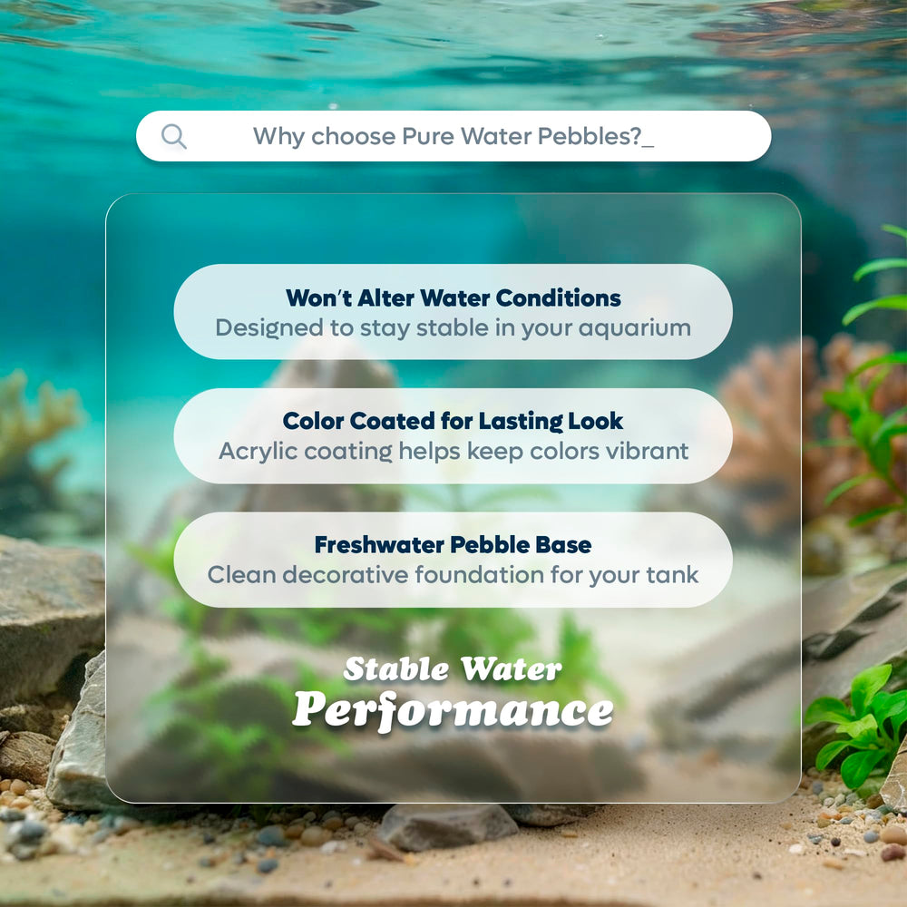 Pure Water Pebbles Lasernite Glo uso ideal para terrarios decorativos.