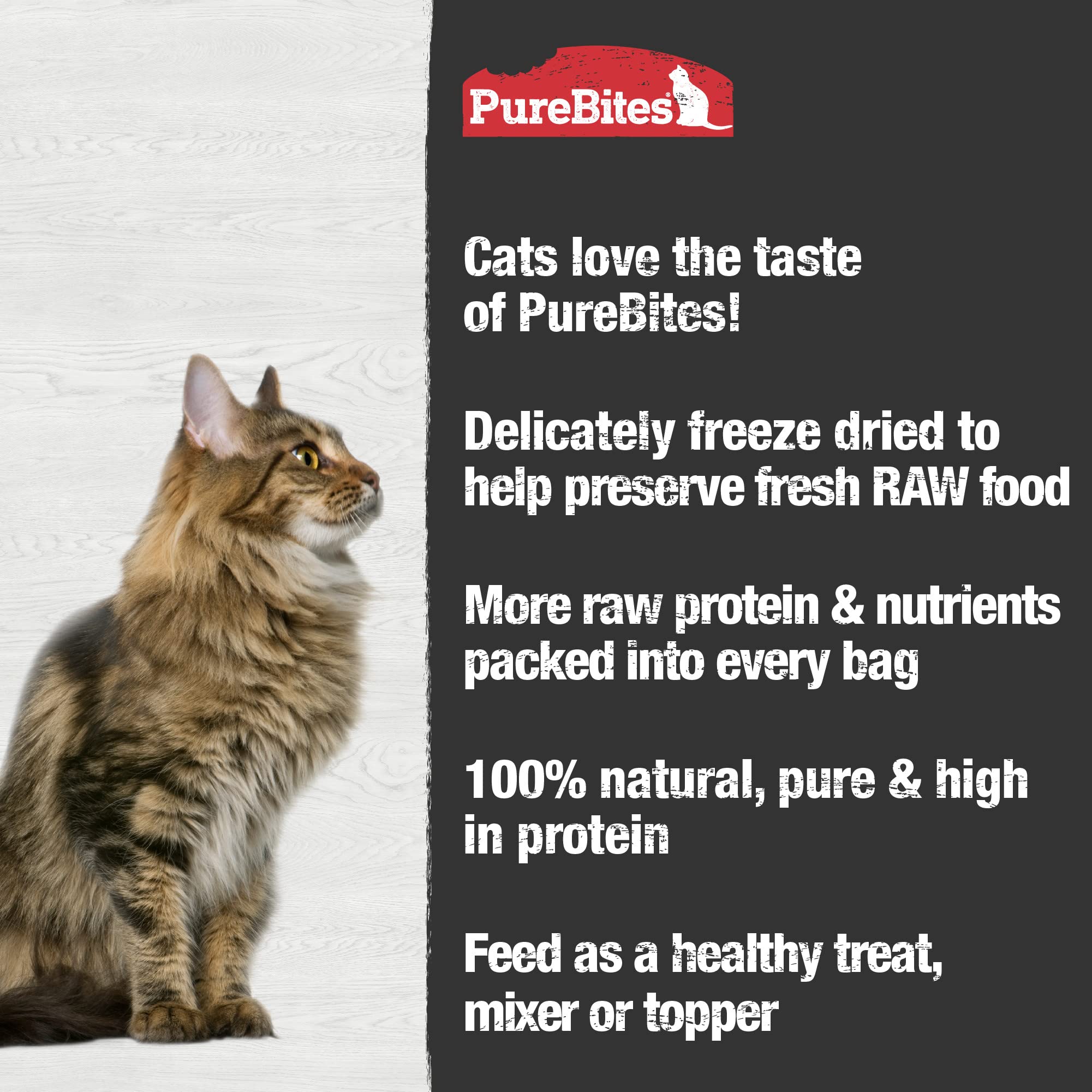 Un gato disfruta un trozo de PureBites, experiencia sabrosa y natural.