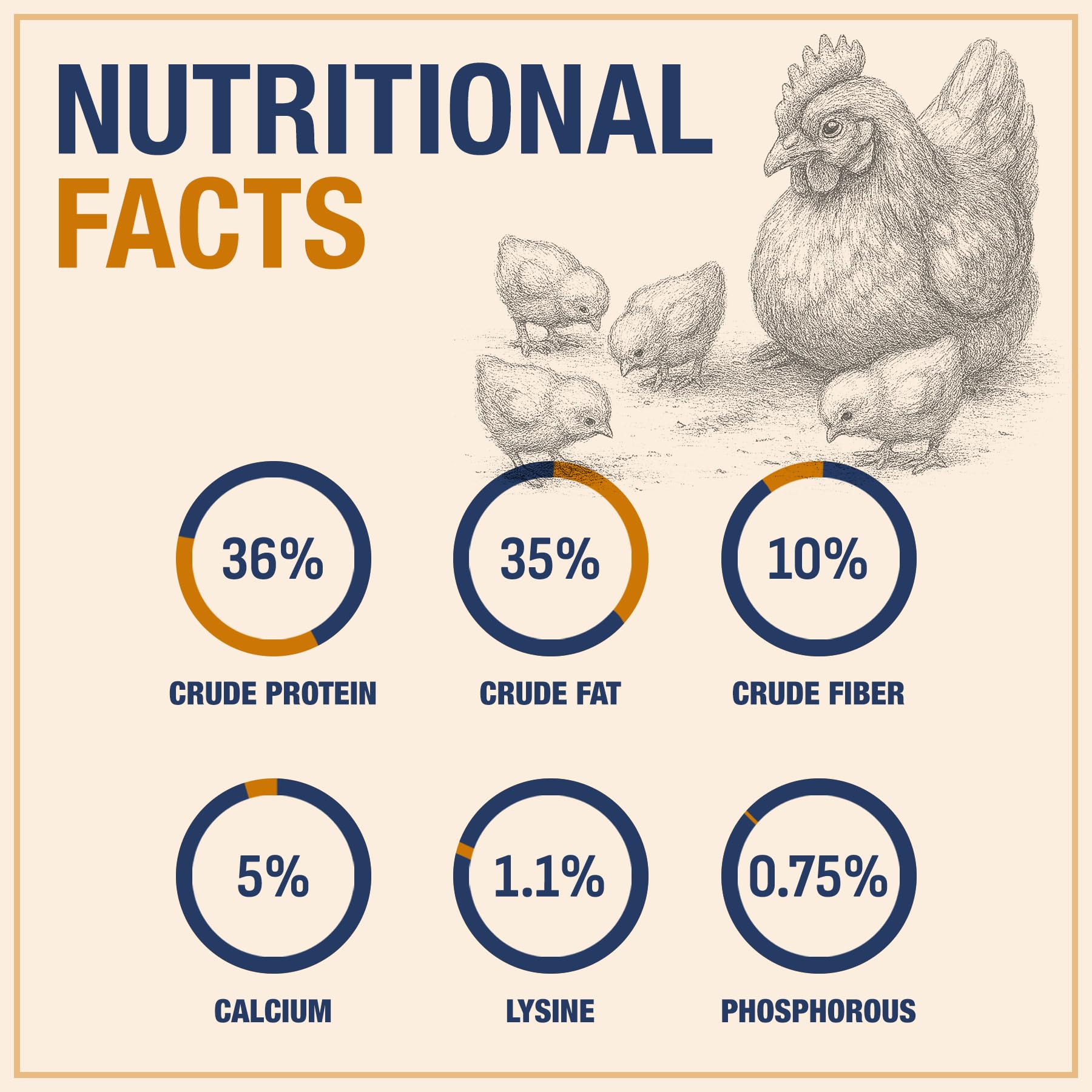 PureGrubs: textura crujiente, snack ideal para aves.