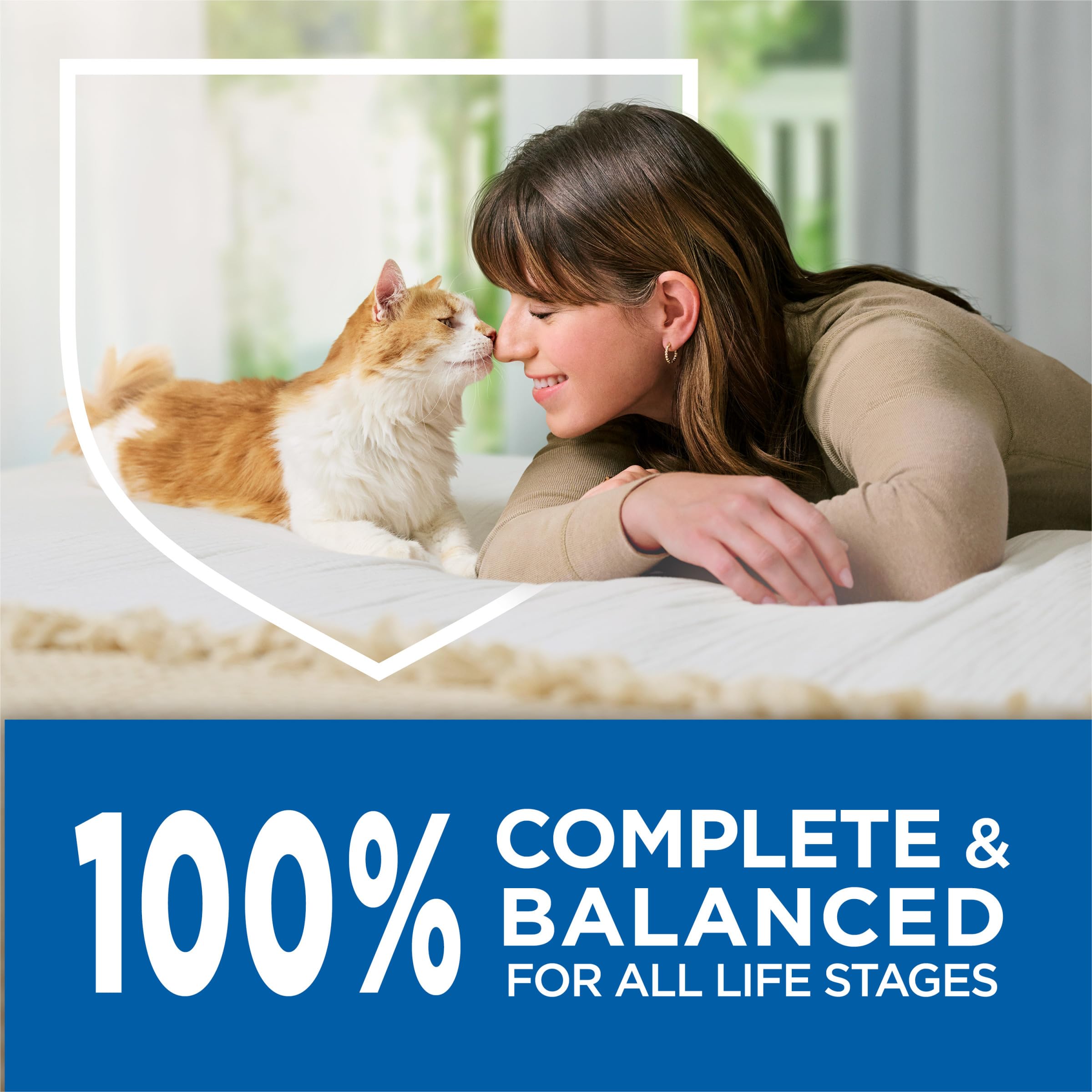 Purina Cat Chow Complete alimento seco para gatos de hogar