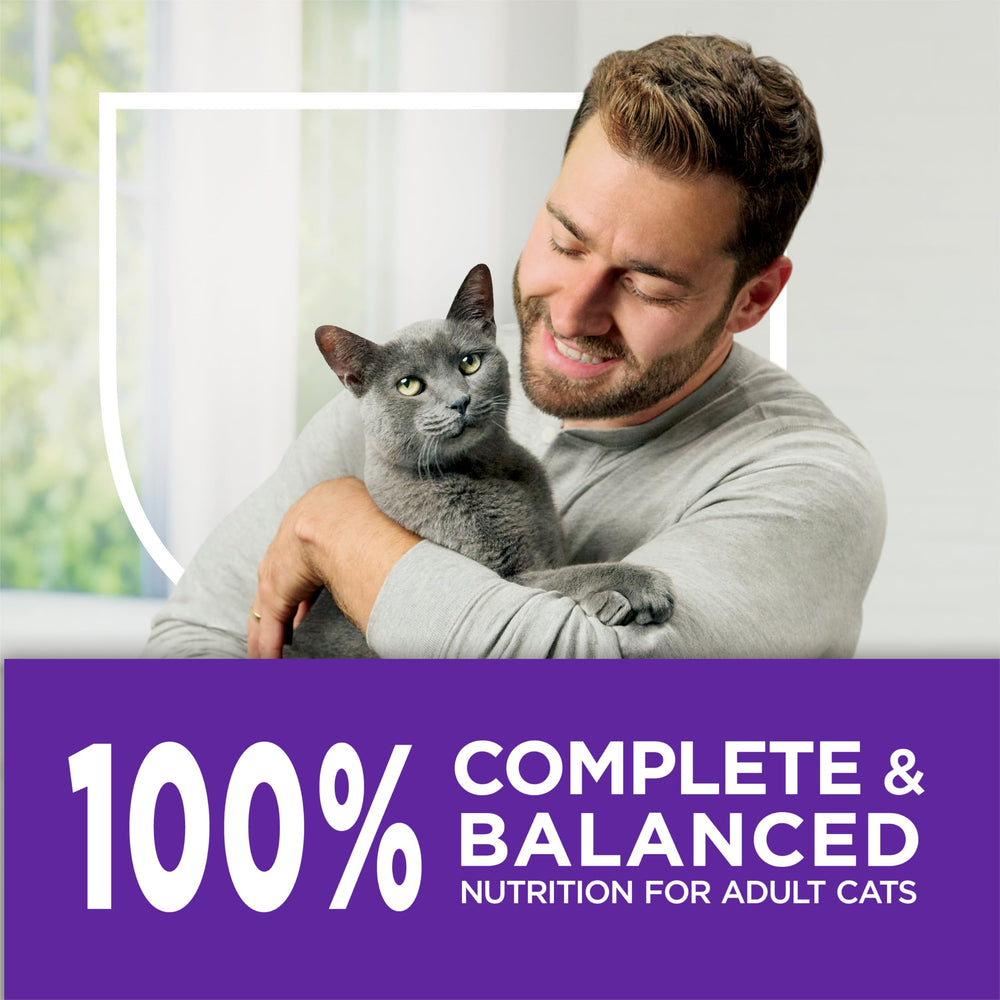 Purina Cat Chow dieta diaria para estomago sensible