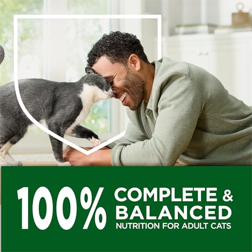 Purina Cat Chow para interiores ingredientes responsables.
