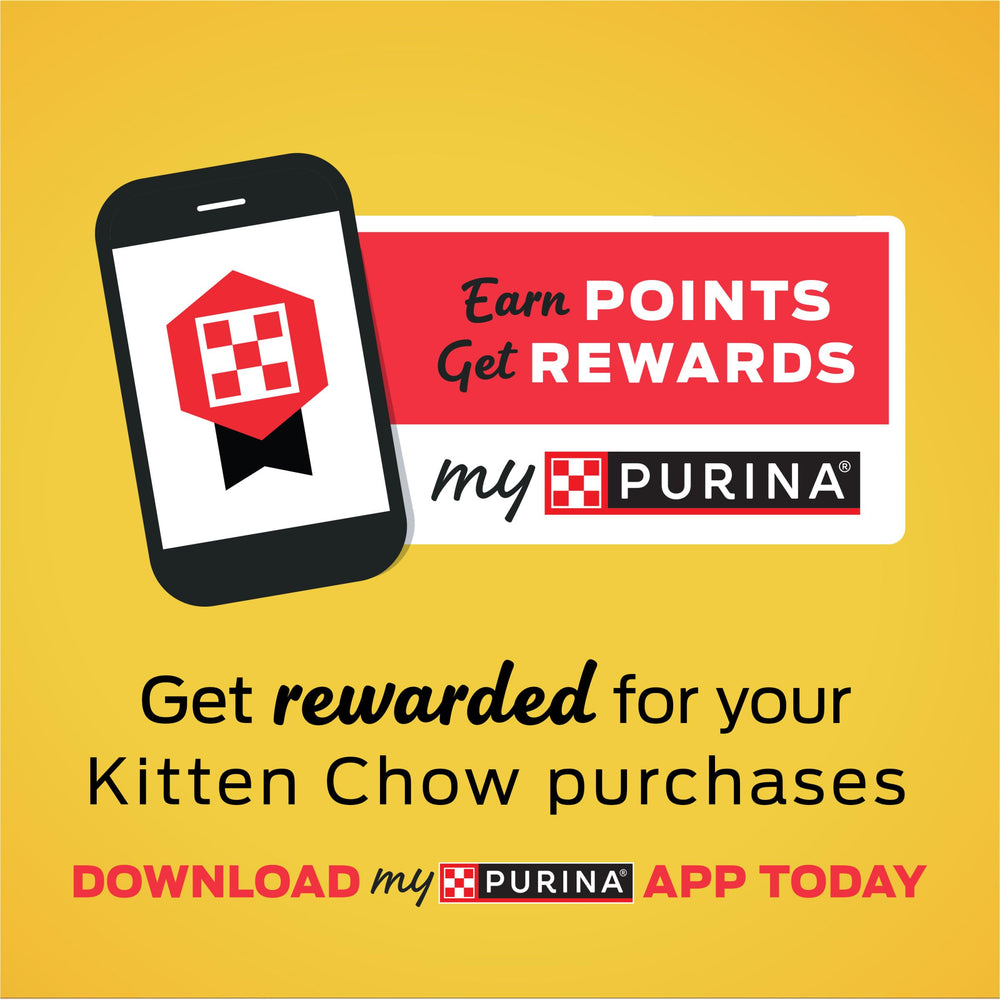 Purina Kitten Chow ayuda a músculos fuertes durante el juego.