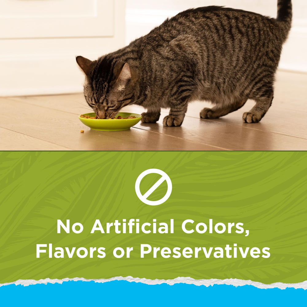 Purina Cat Chow Naturals Indoor, croquetas con pavo para variedad de sabor.