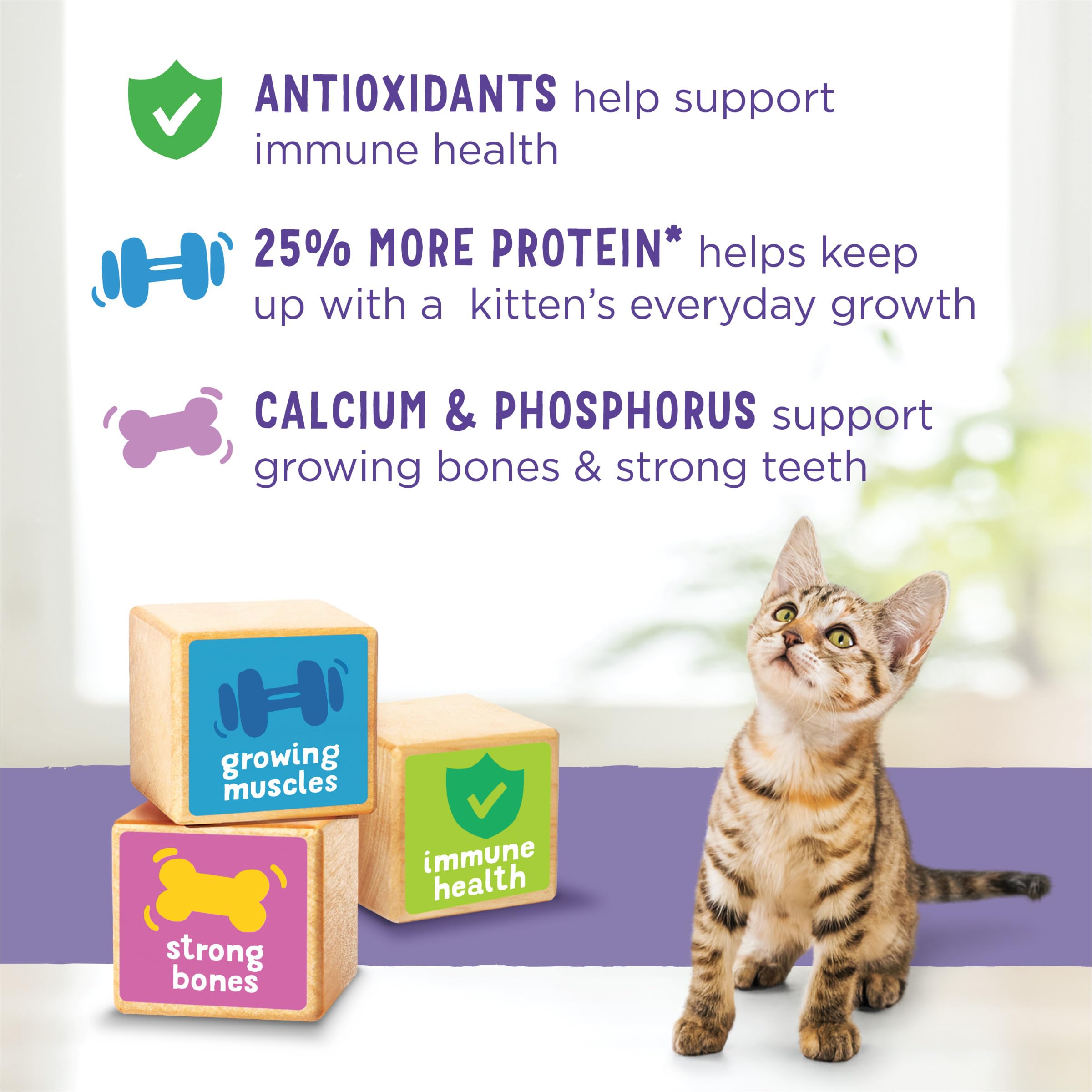 Purina Gatito Chow Nurture: croquetas para músculos en desarrollo.