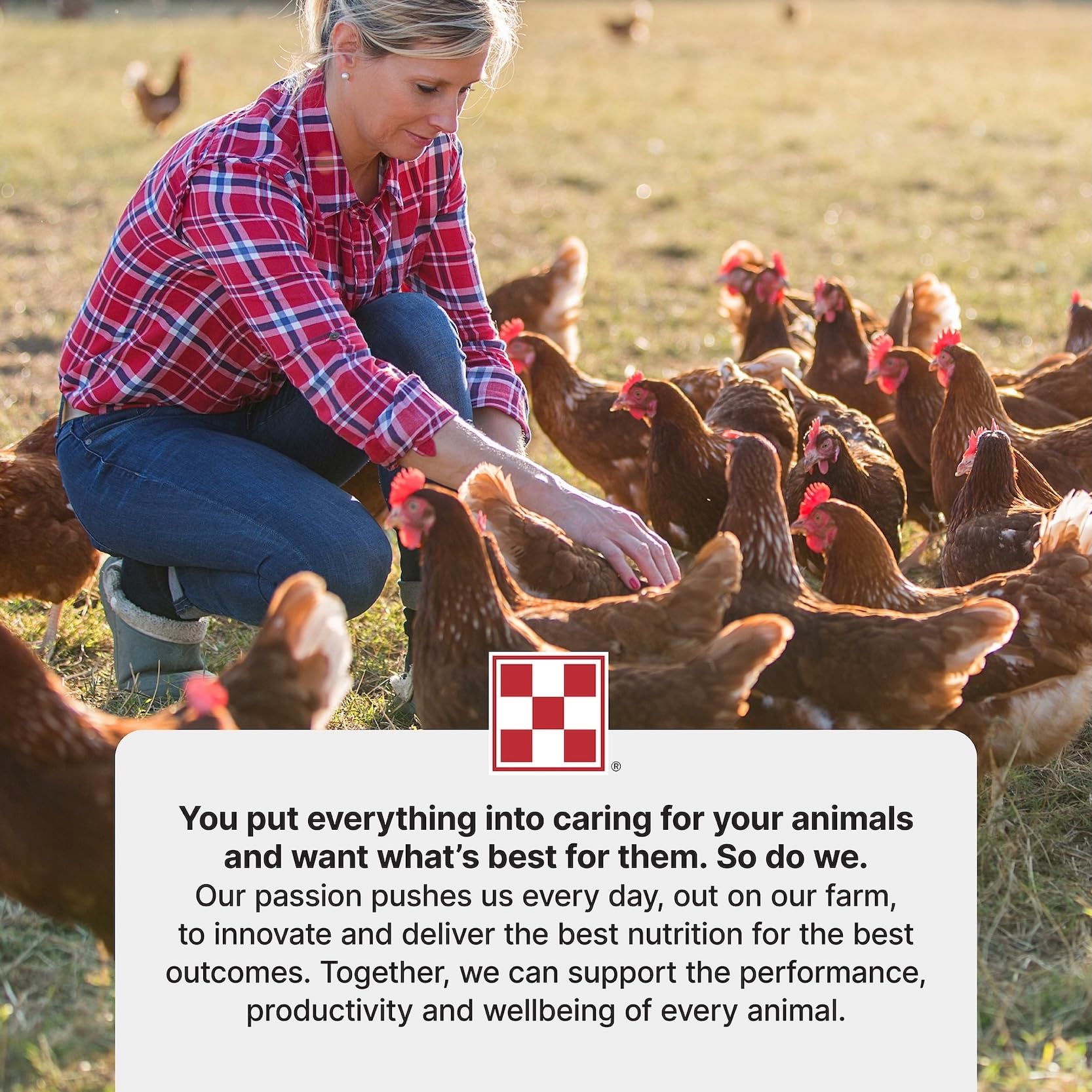 Purina Layena Pellets: embalaje práctico para almacenamiento y reposición.