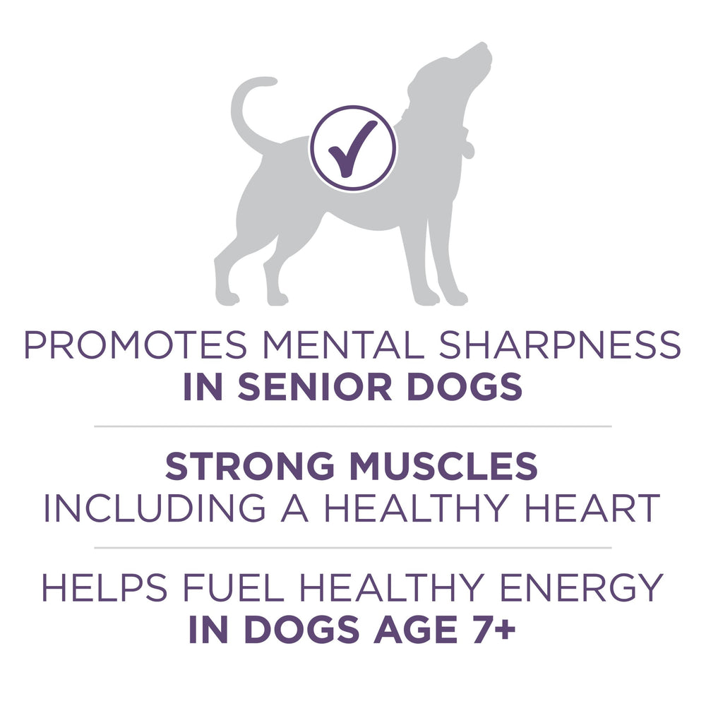 Purina ONE aceite MCT vegetal para energía y claridad mental.