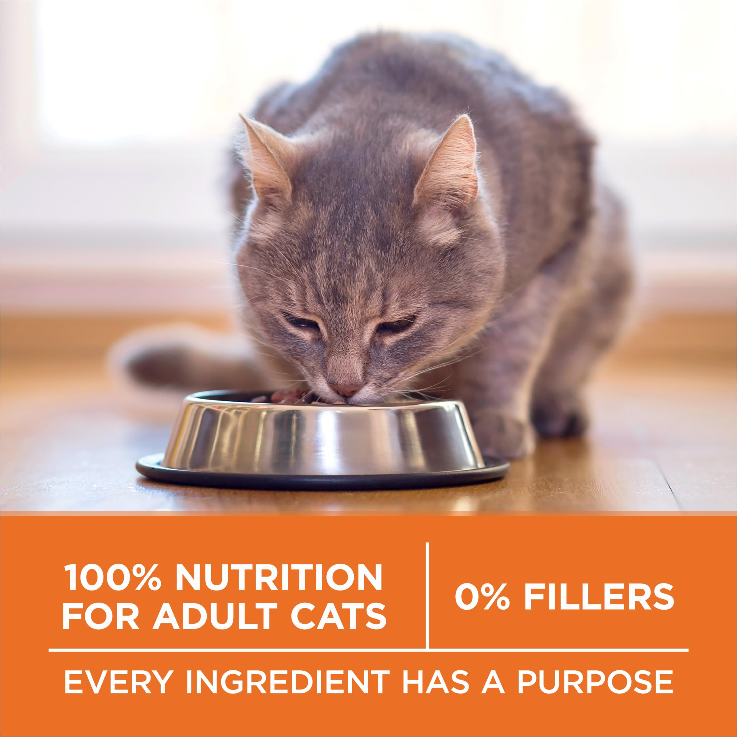 Purina ONE resalta proteína alta para músculos y energía diaria
