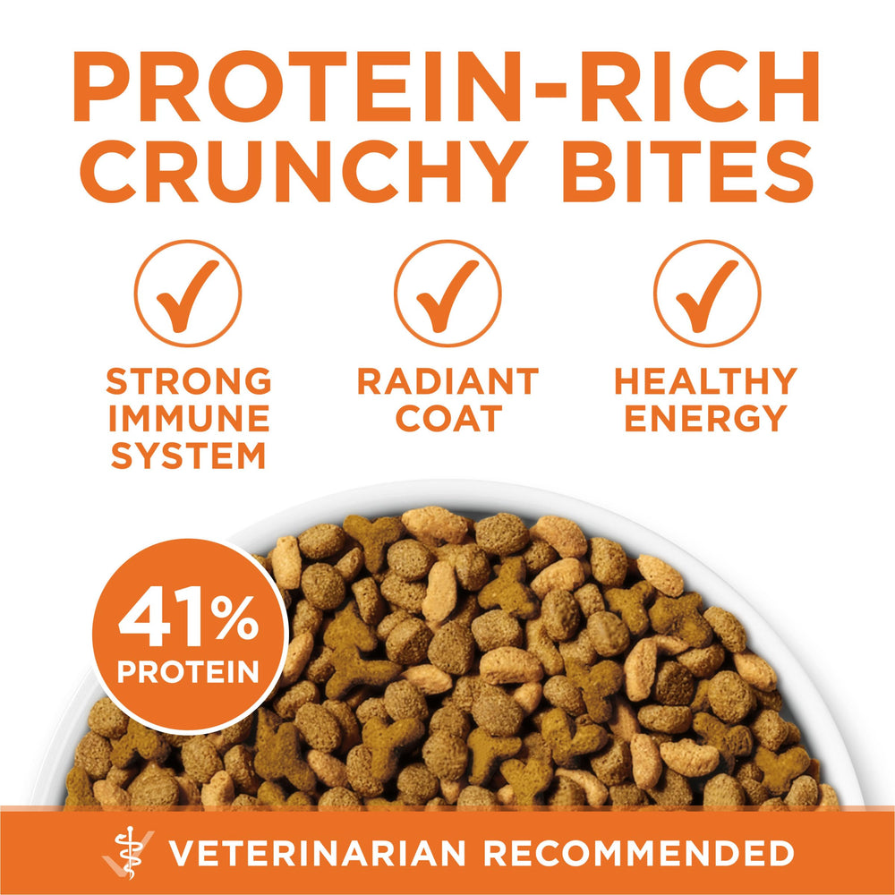 Purina ONE antioxidantes para apoyar el sistema inmunológico del gato.