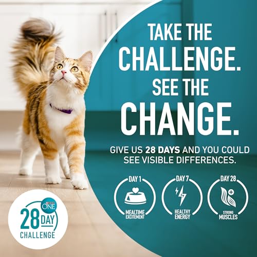 Purina ONE alimento completo y balanceado para gatos adultos.