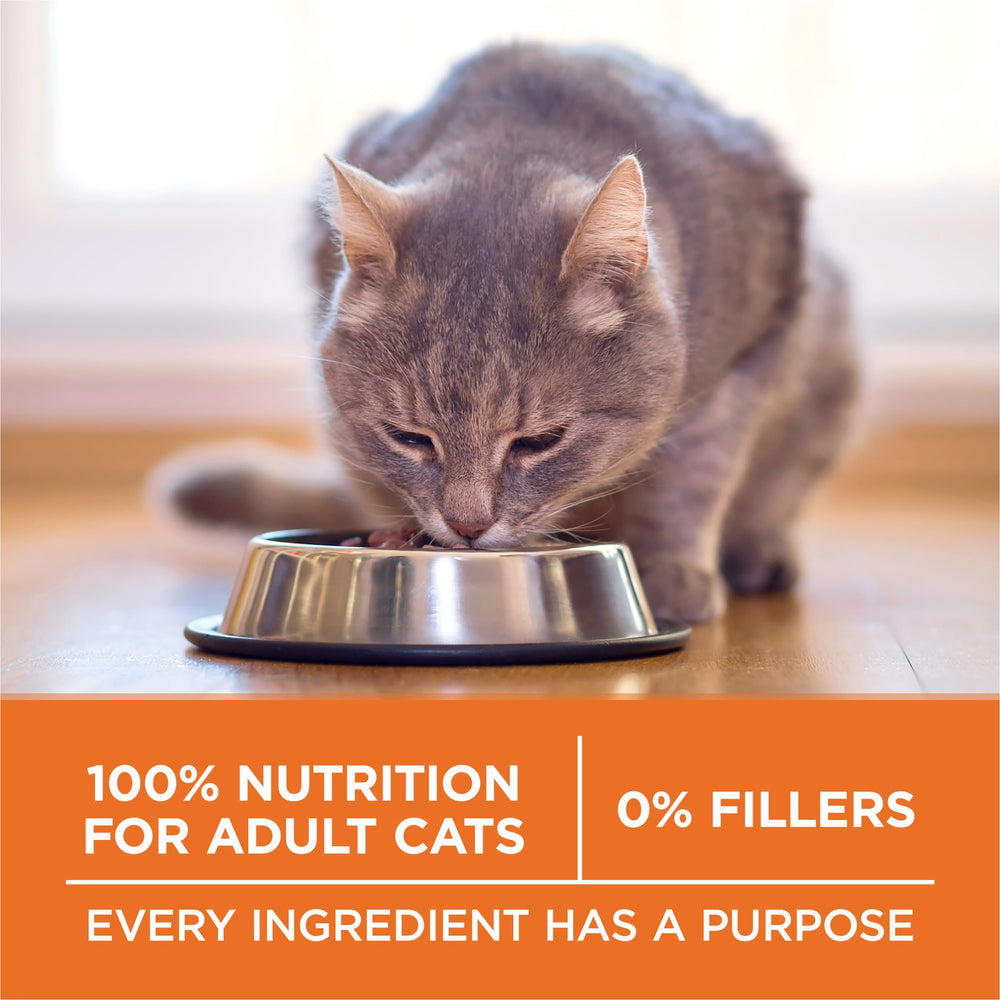 Purina ONE fórmula sin rellenos, enfoque en nutrición clara.