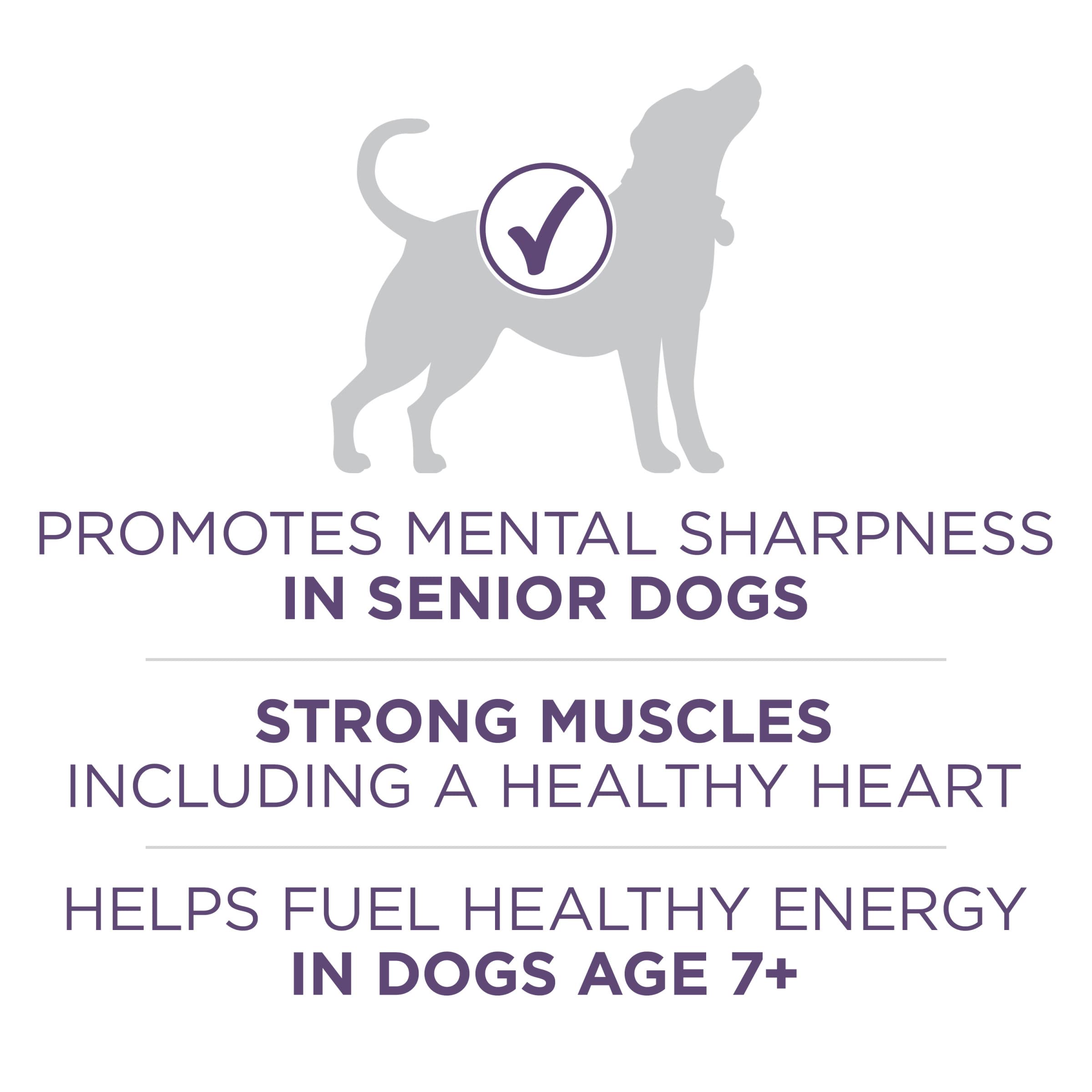 Purina ONE, glucosamina natural para articulaciones, favorece movilidad en perros senior.