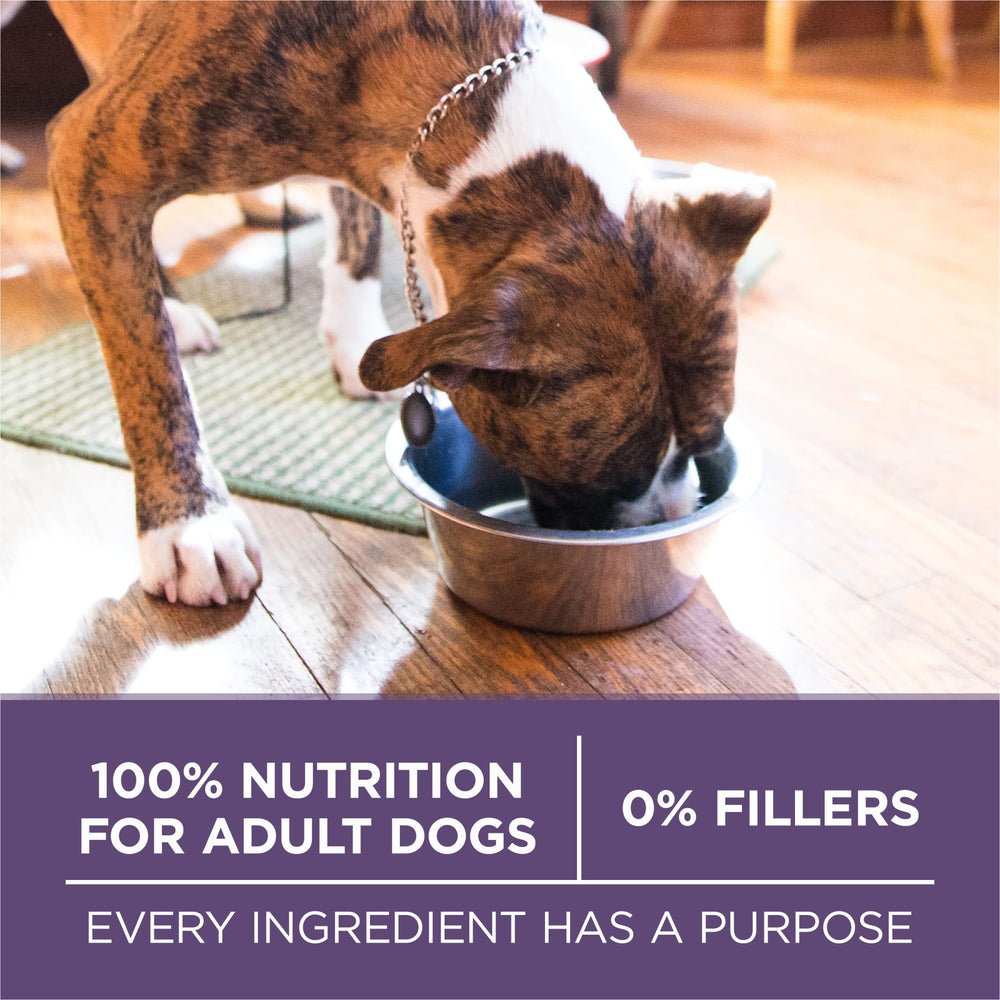 Purina ONE, fórmula de digestibilidad, ayuda a asimilar mejor los nutrientes.