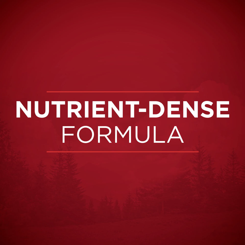 Purina ONE antioxidantes para apoyo inmunológico en la dieta diaria.