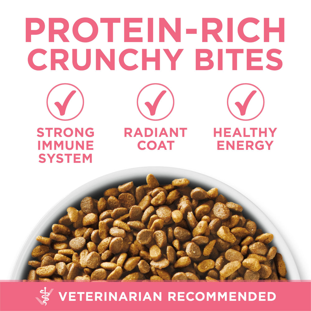 Purina ONE antioxidantes para fortalecer el sistema inmunológico.