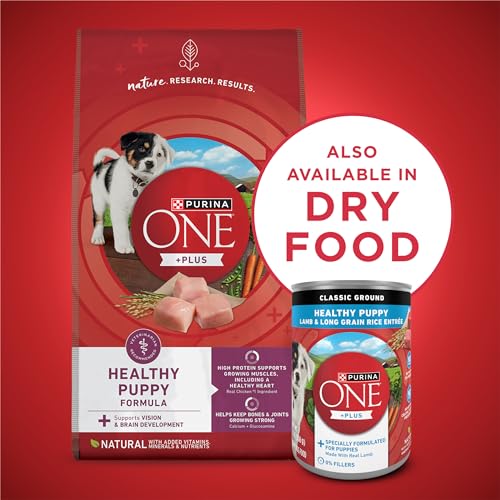 Purina ONE cachorros aroma de cordero, lata 13oz