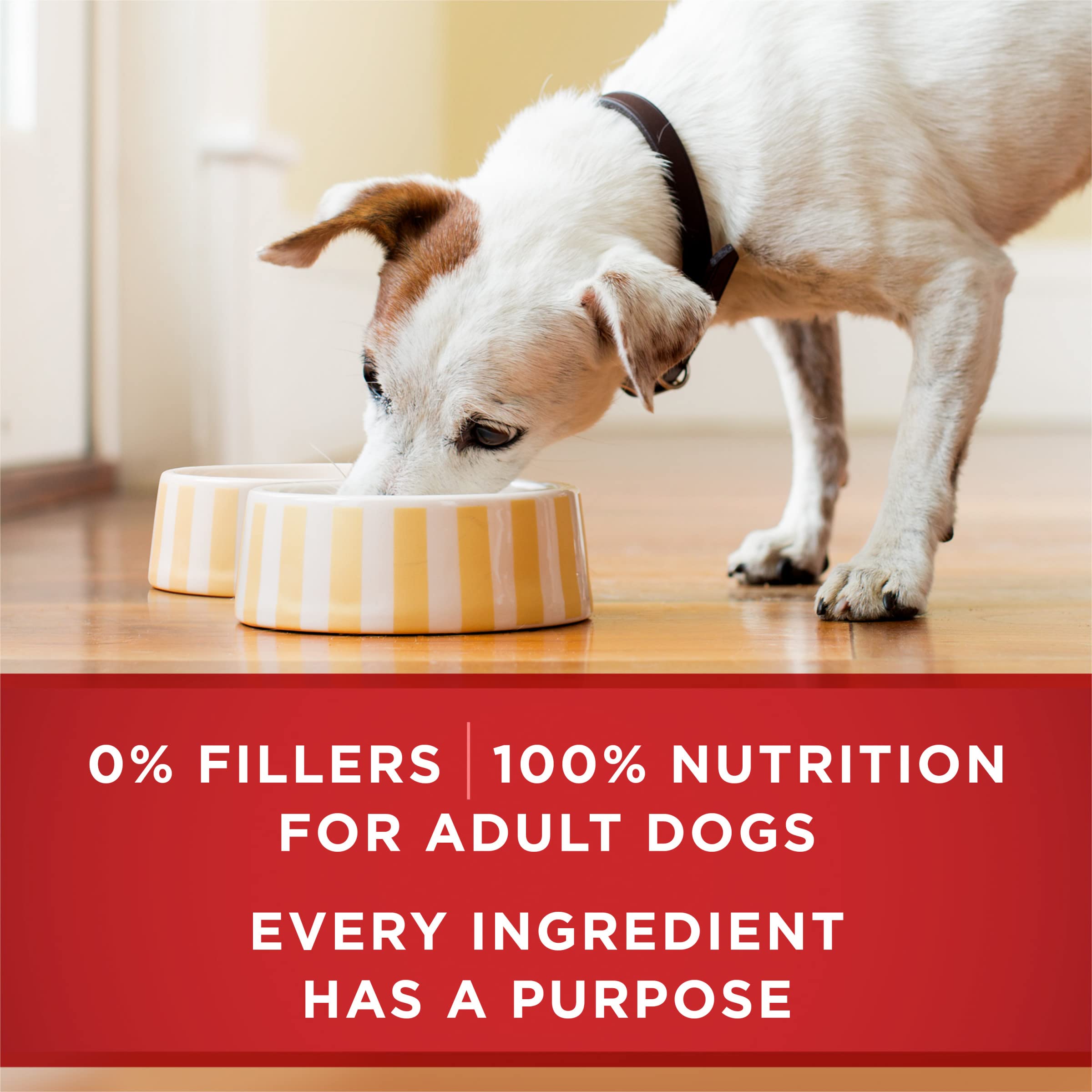 Purina ONE Classic Alto en Proteína: proteína de alta calidad para músculos fuertes.