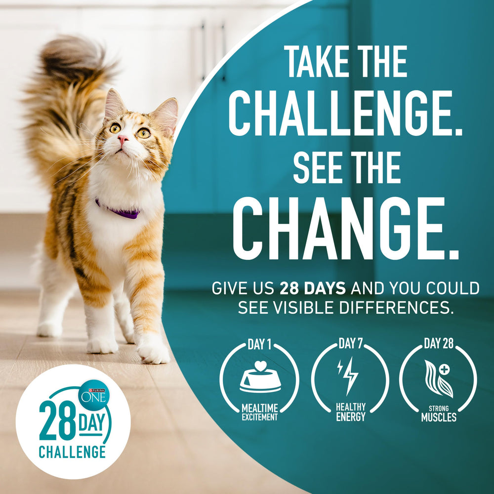 Purina ONE reto de 28 días para observar cambios posibles en digestión.