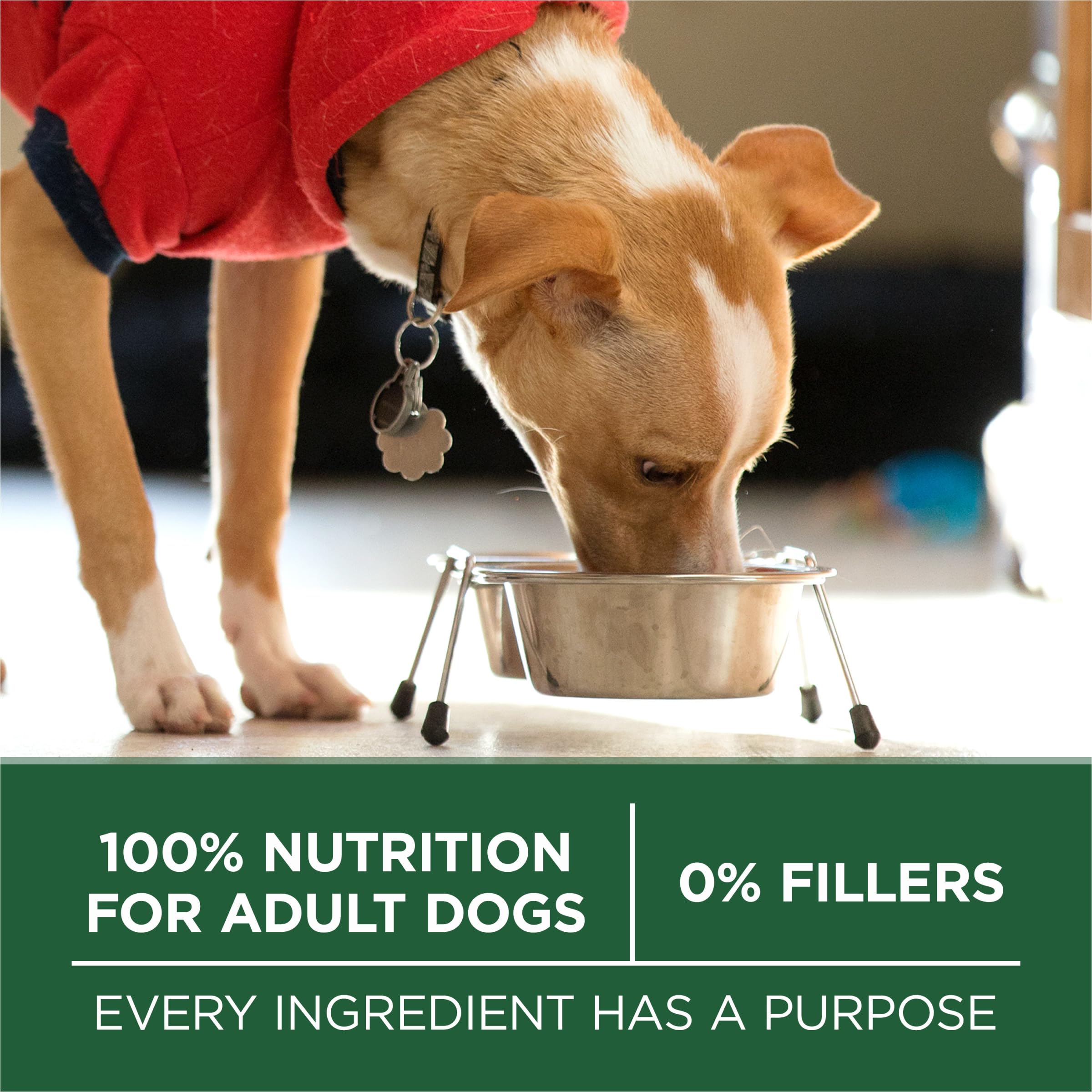 Purina ONE digestión fácil gracias a su fórmula de alta digestibilidad