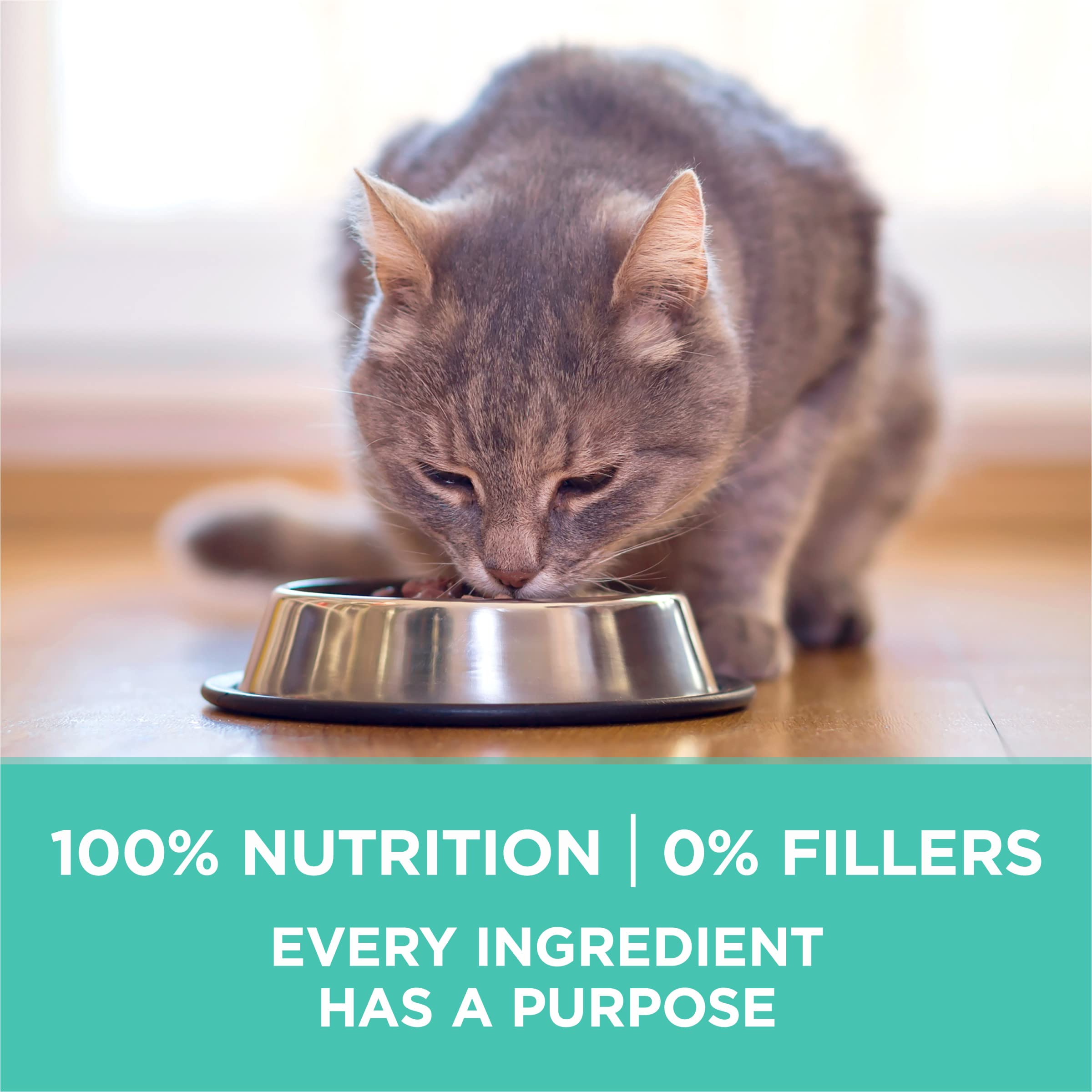 Purina ONE Estómago sensible antioxidantes de cuatro fuentes.