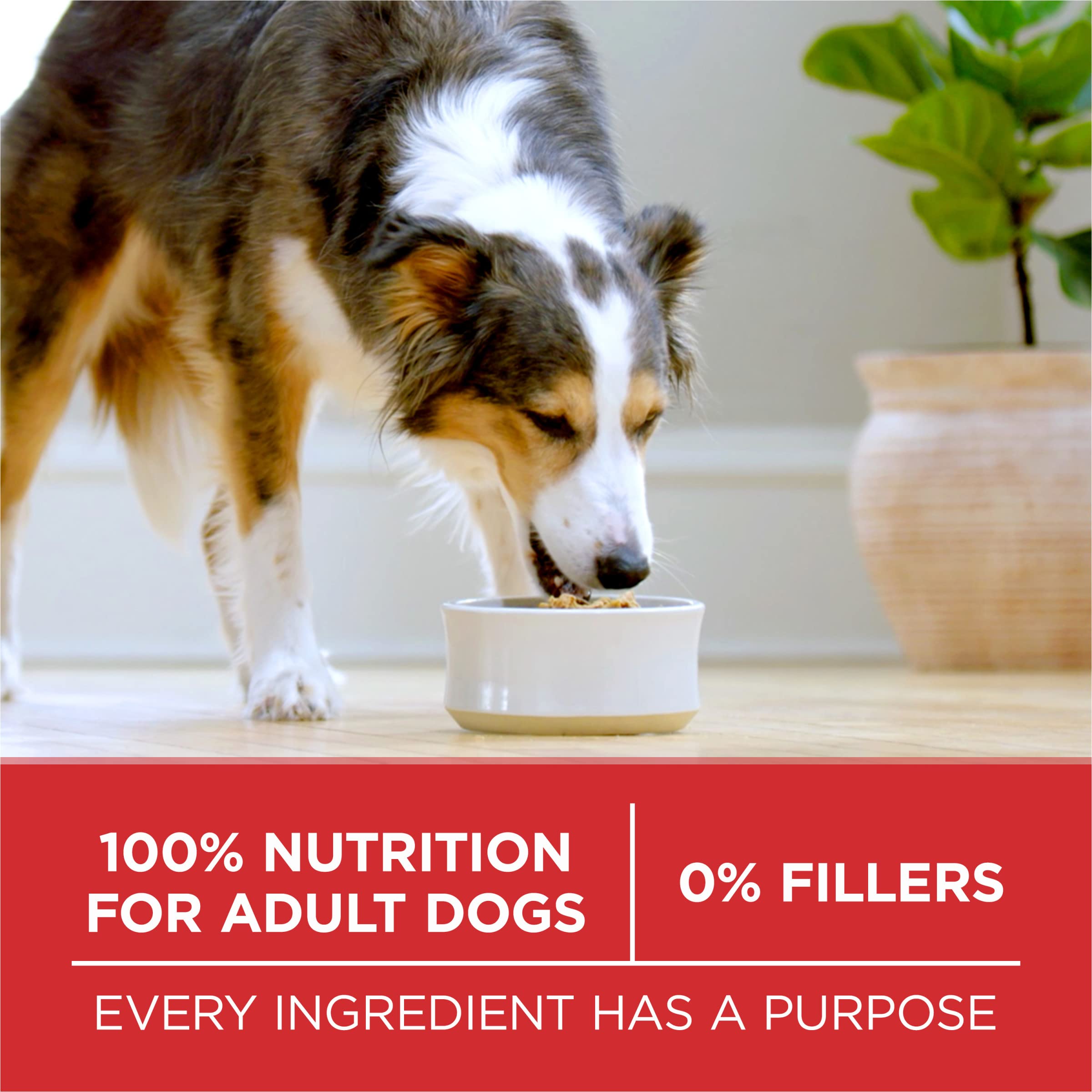Glucosamina natural en Purina ONE para articulaciones.