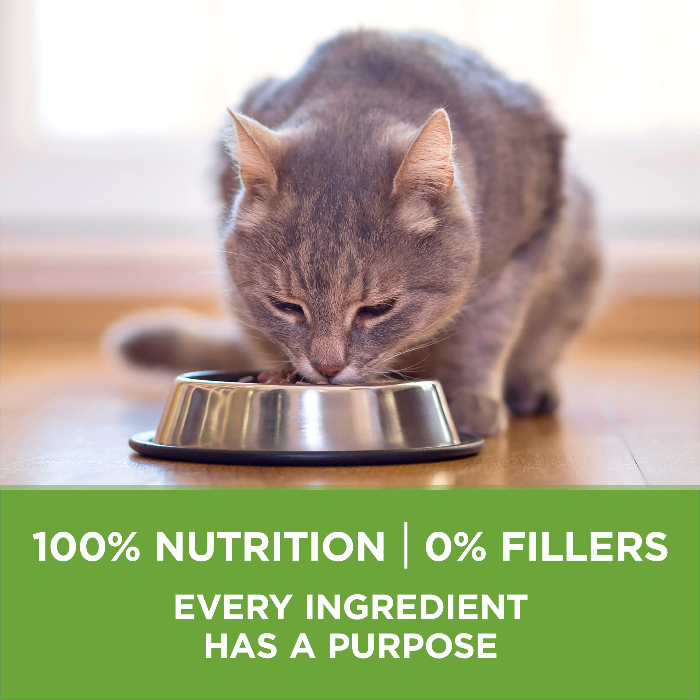Omega-6 en Purina ONE para piel sana y pelaje brillante