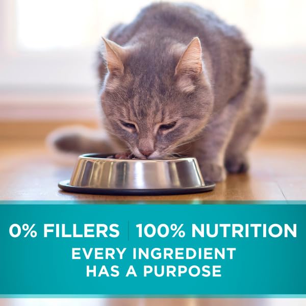 Purina ONE Indoor Advantage: lata con tapa pull-tab, conveniente para servir.