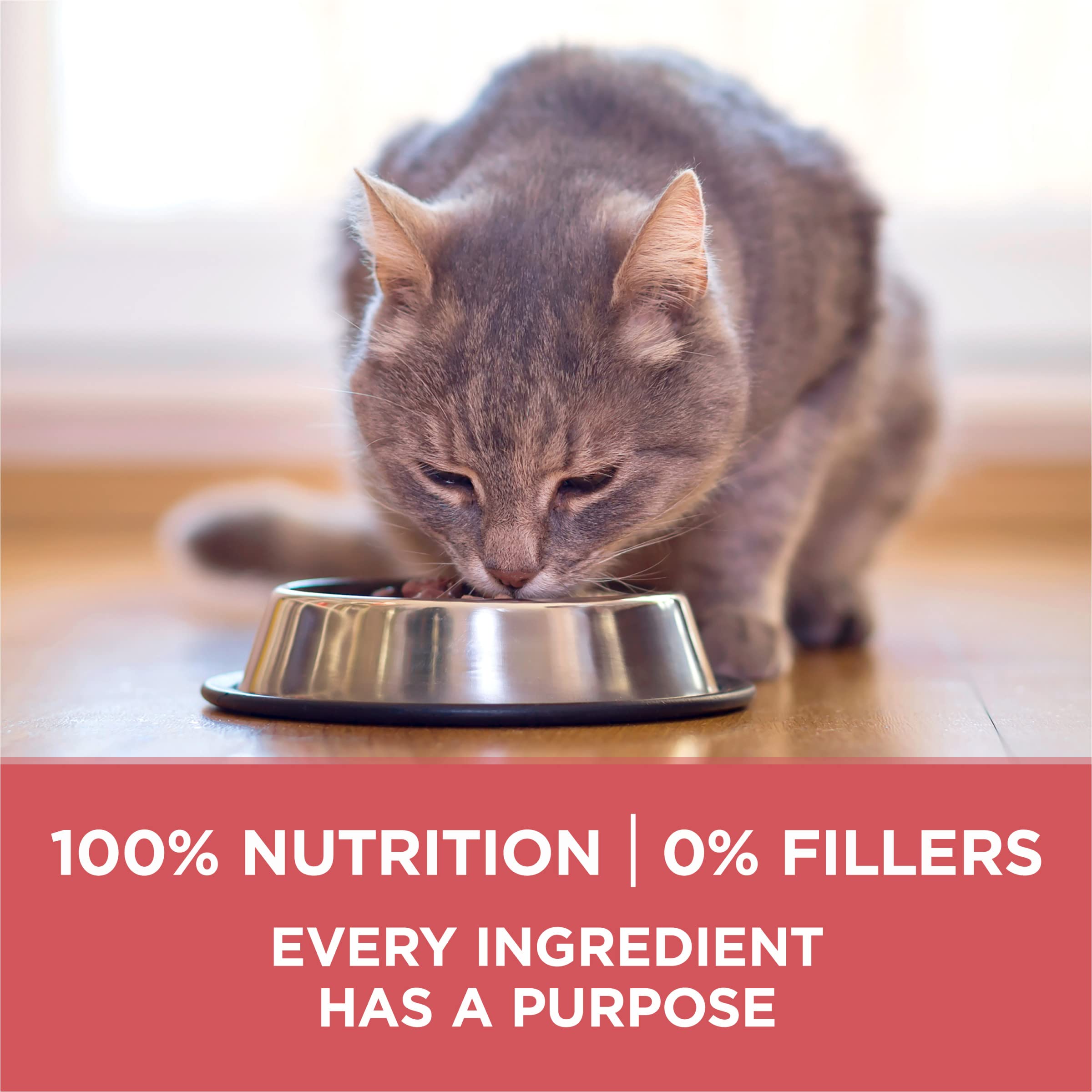 Purina ONE Ingredientes con propósito: nutrición completa para adultos felinos