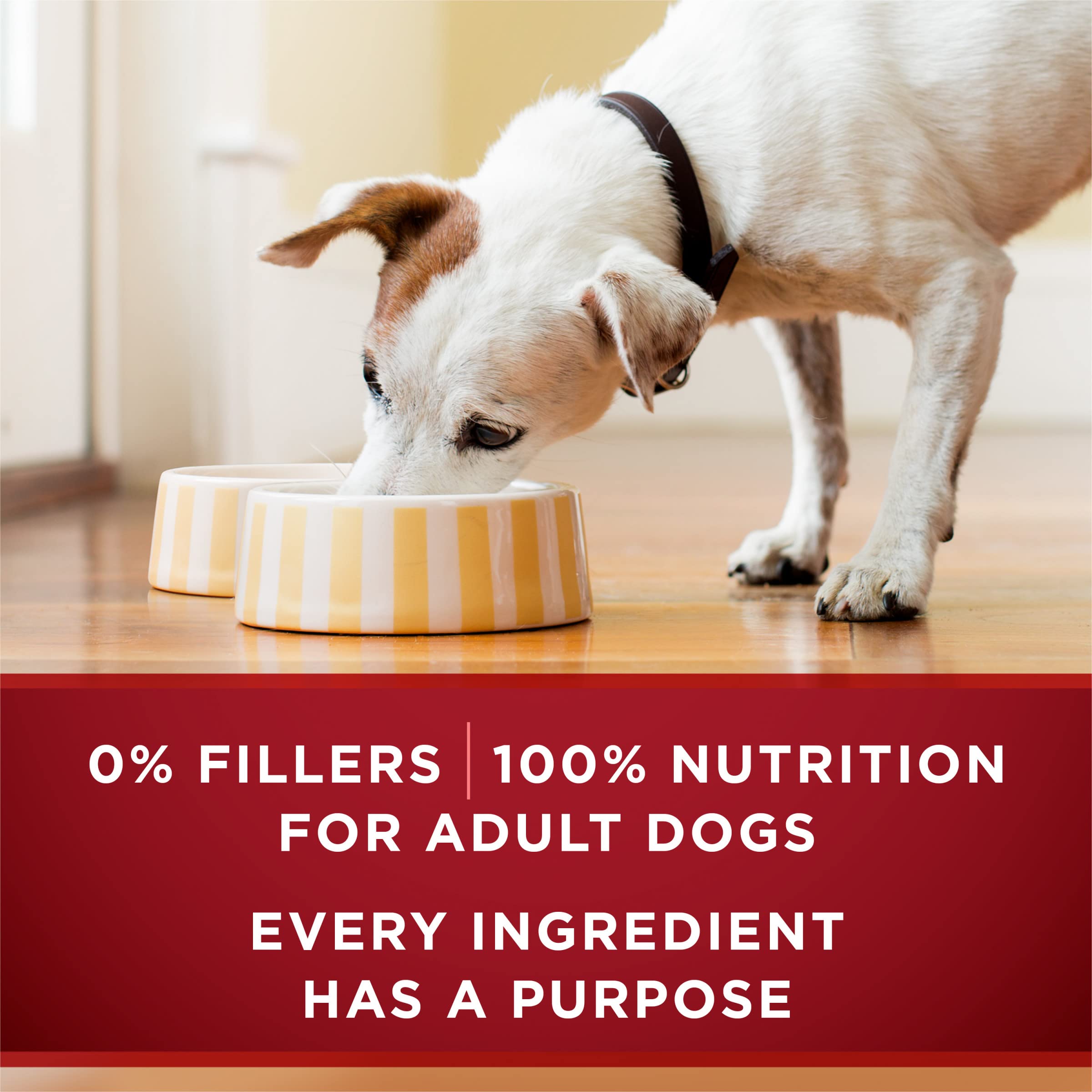 Purina ONE Instinto Verdadero: antioxidantes para apoyar el sistema inmunológico.