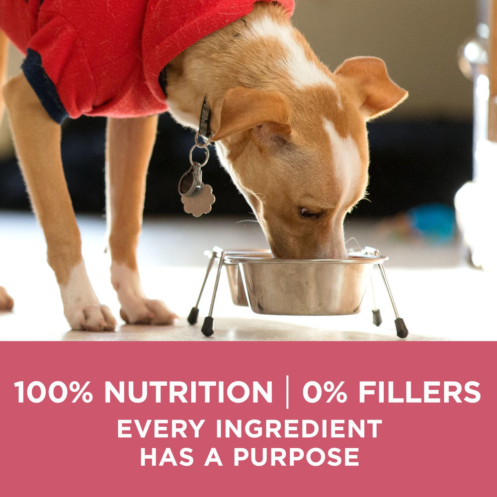 Purina ONE Natural bolsa de 8 libras, conveniencia para el hogar.