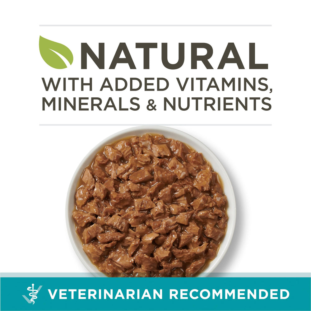 Purina ONE Natural, gato-disfruta-atun-salsa, mejora la experiencia de alimentación con sabor.