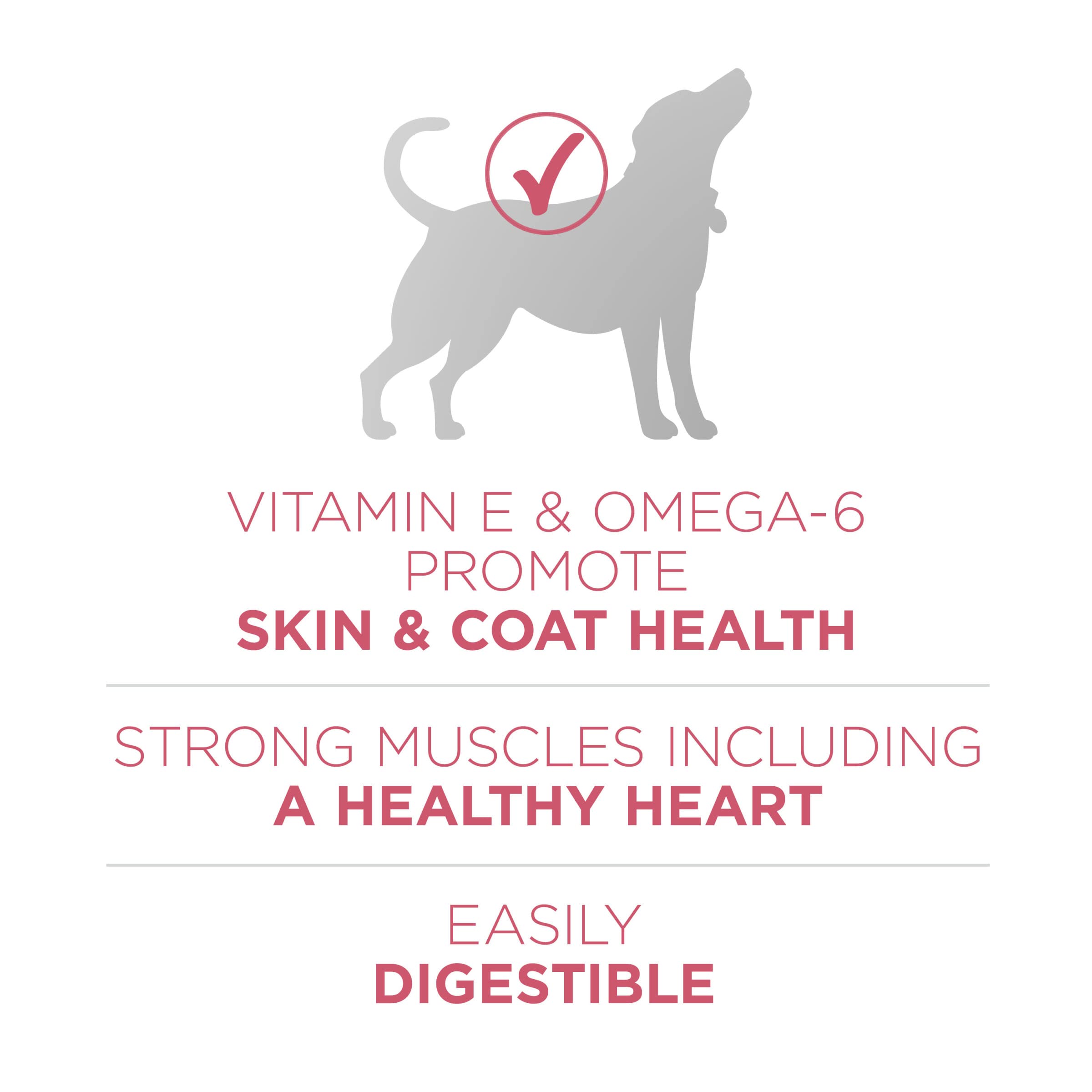 Purina ONE Natural +Plus, croquetas con equilibrio de ingredientes para piel sana.