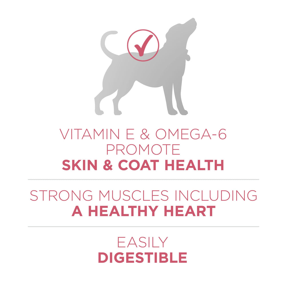 Purina ONE Natural +Plus, croquetas con equilibrio de ingredientes para piel sana.