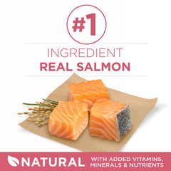 Purina ONE Natural +Plus, salmon como ingrediente principal en croquetas para pelaje saludable.