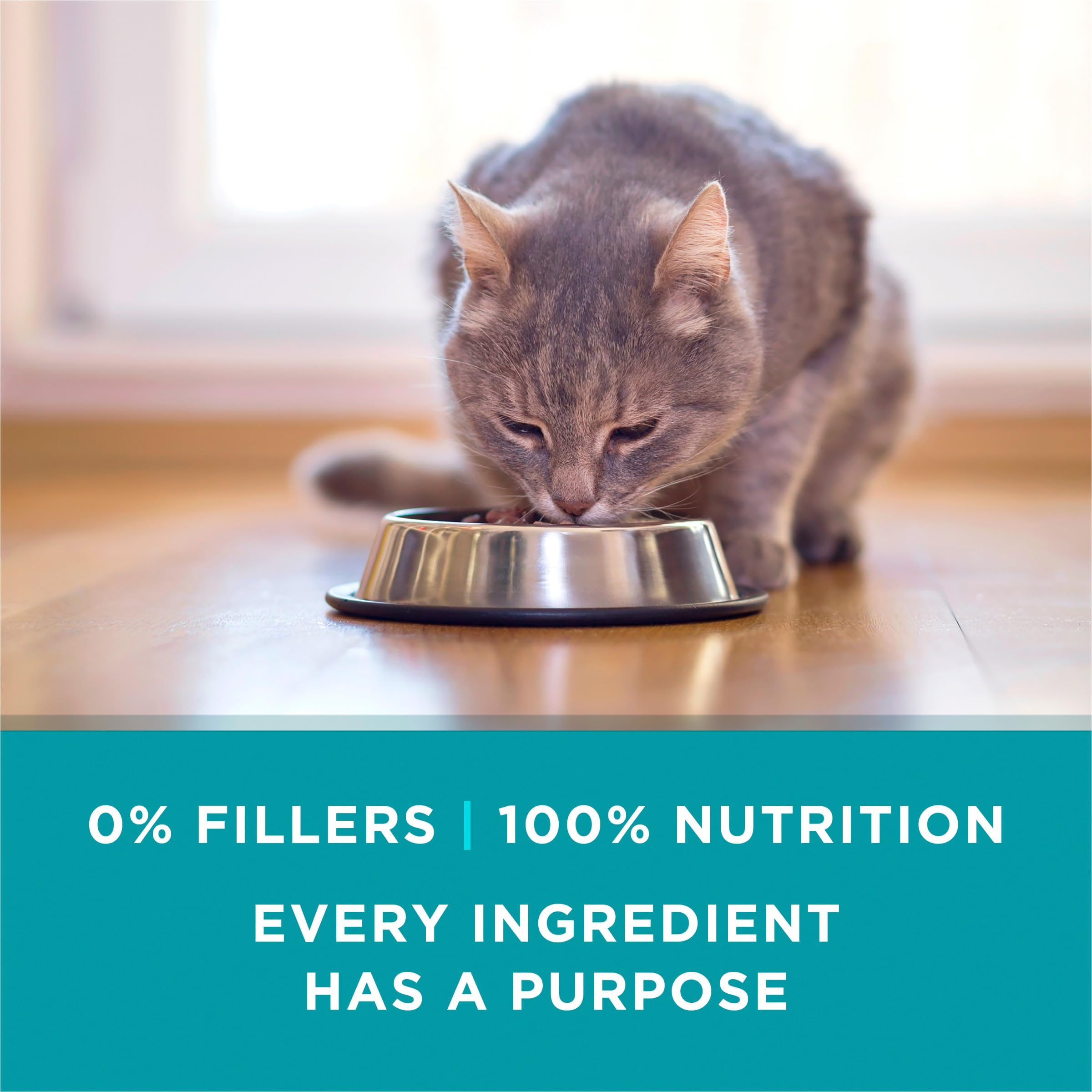 Purina ONE nutrición completa para gatos en salsa húmeda.