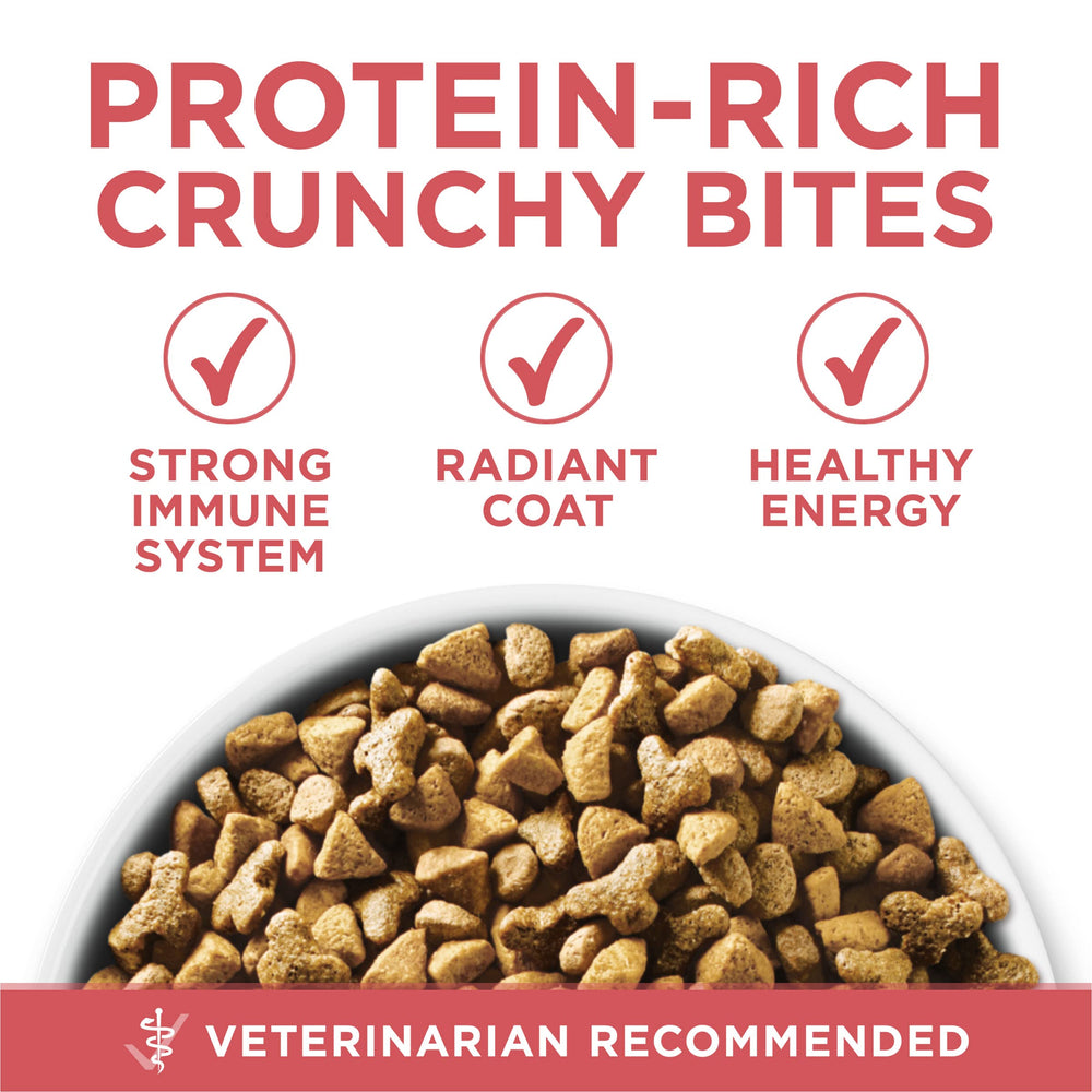 Purina ONE Omega-6 para pelaje suave y piel sana