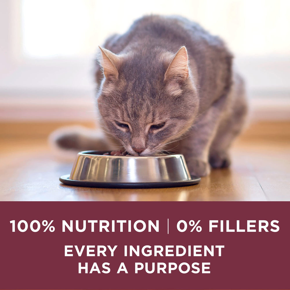 Purina ONE omega-6: piel y pelaje brillantes.