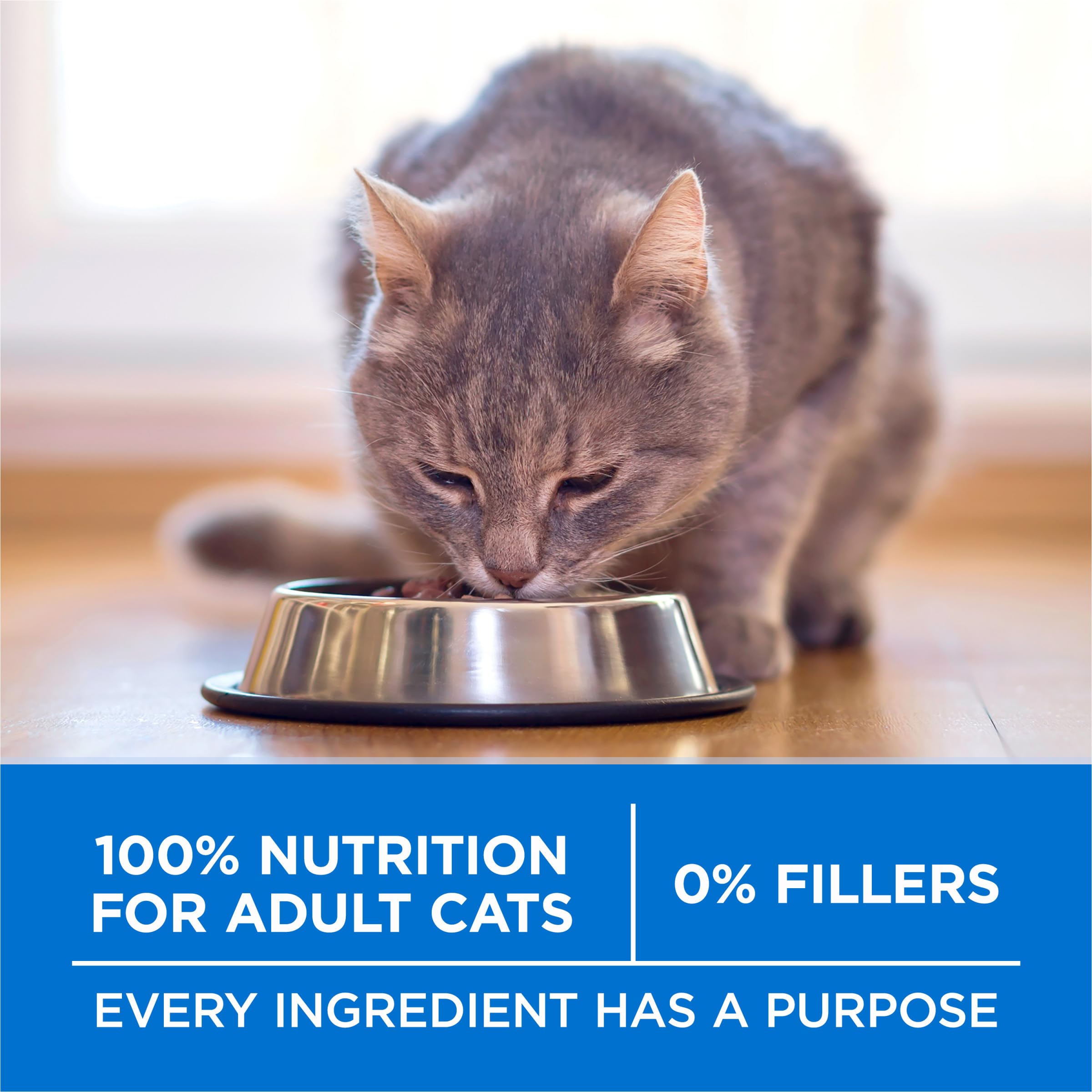 Purina ONE Plus bolsa de 22 libras para conveniencia familiar.