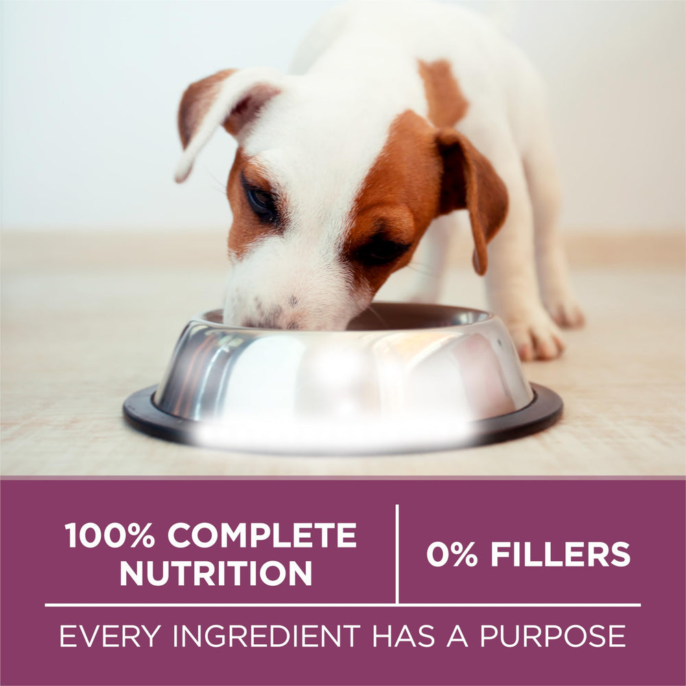 Mezcla inteligente para digestión suave de cachorros