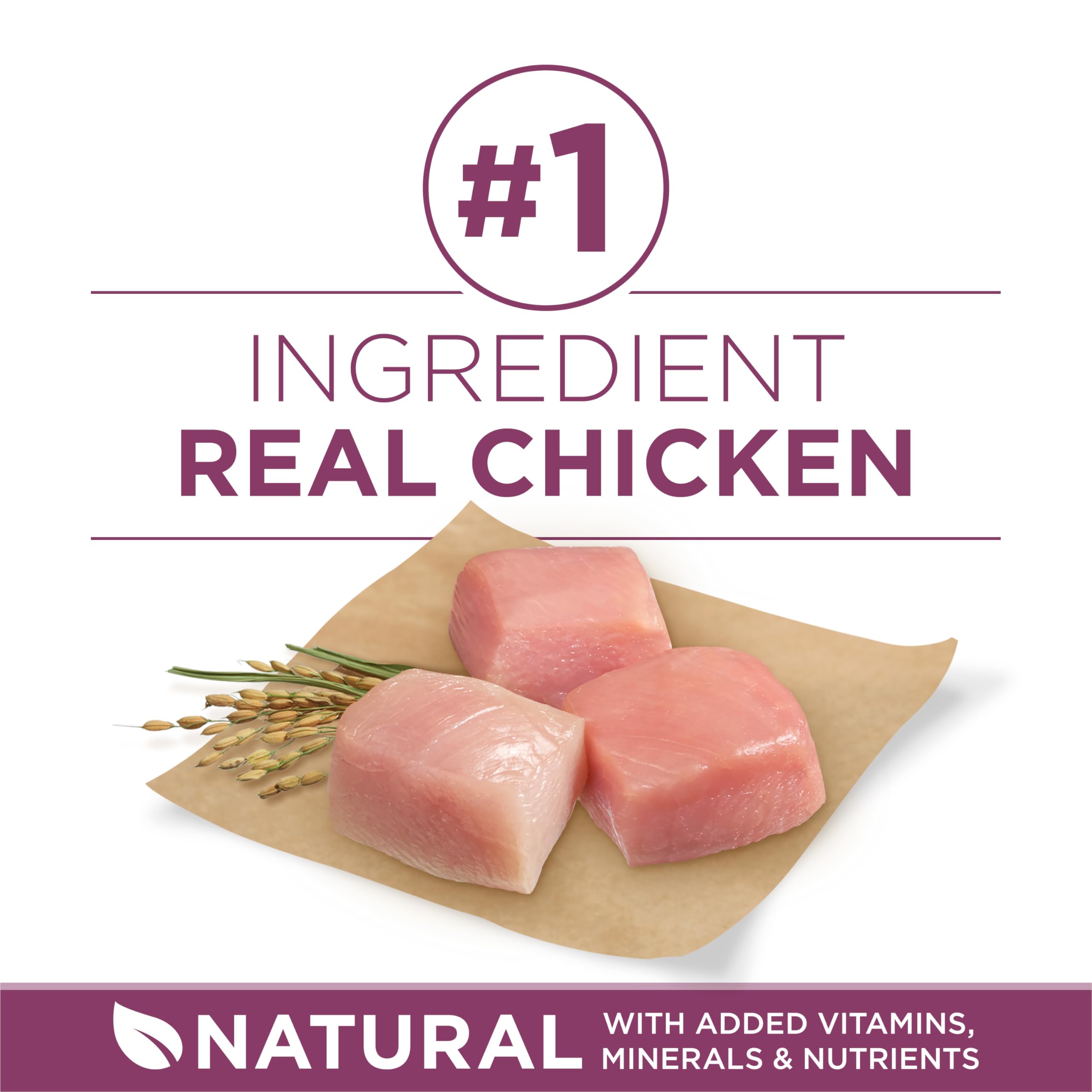 Purina ONE Plus croquetas crujientes con DHA y antioxidantes.