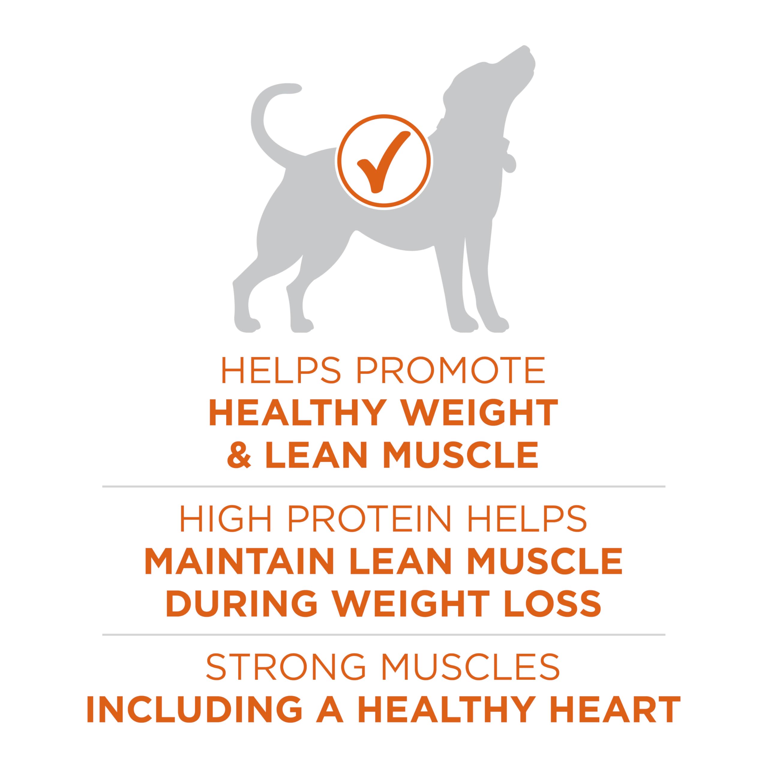 Purina ONE Plus Crujiente y Tierno: croquetas y trocitos para sabor agradable.