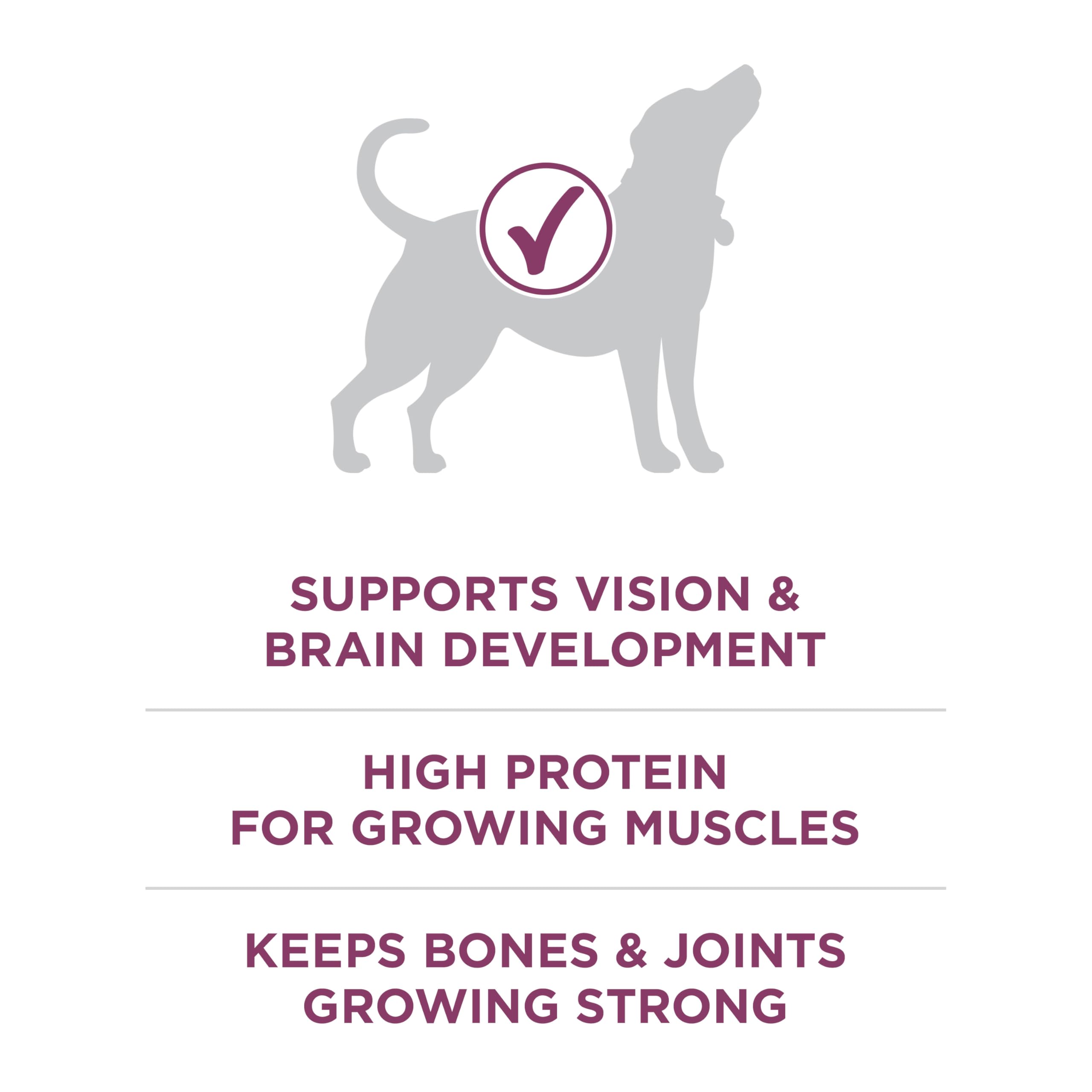 Purina ONE Plus con DHA para desarrollo visual y cerebral.