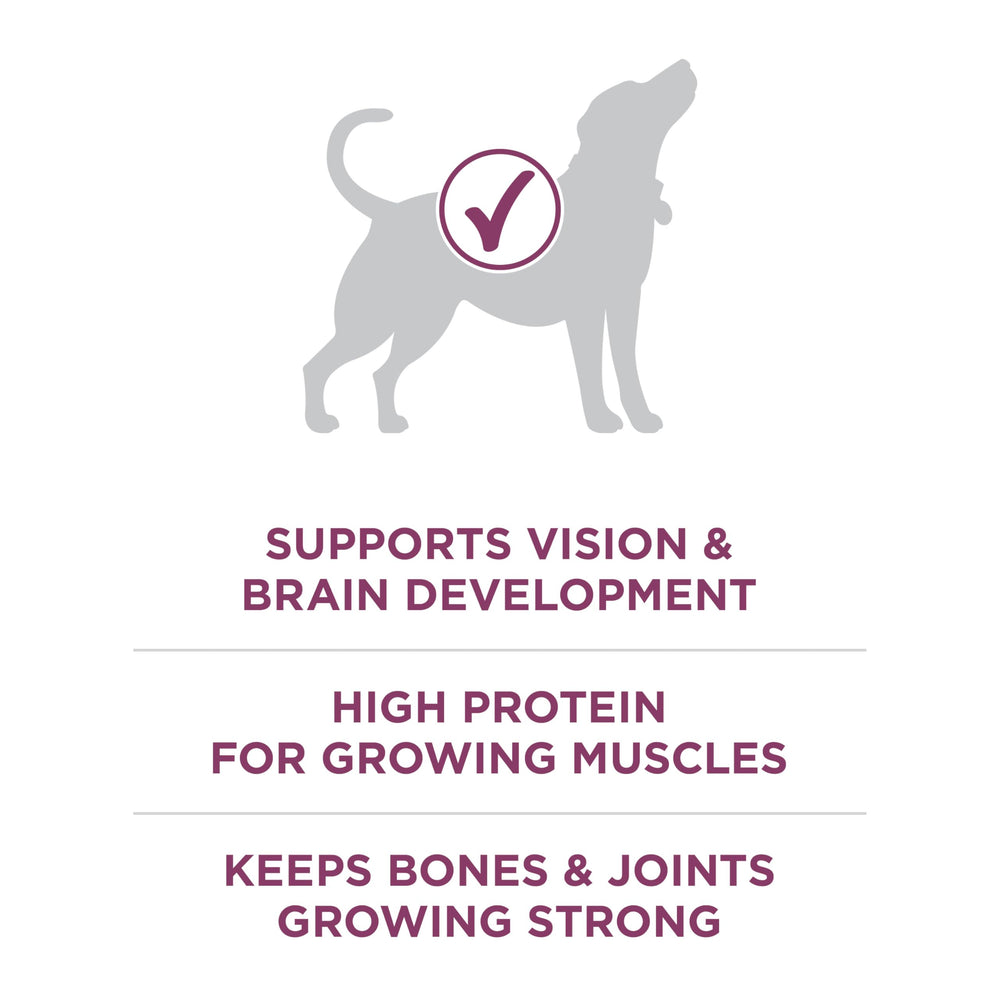 Purina ONE Plus con DHA para desarrollo visual y cerebral.