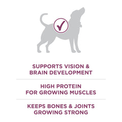Purina ONE Plus con DHA para desarrollo visual y cerebral.