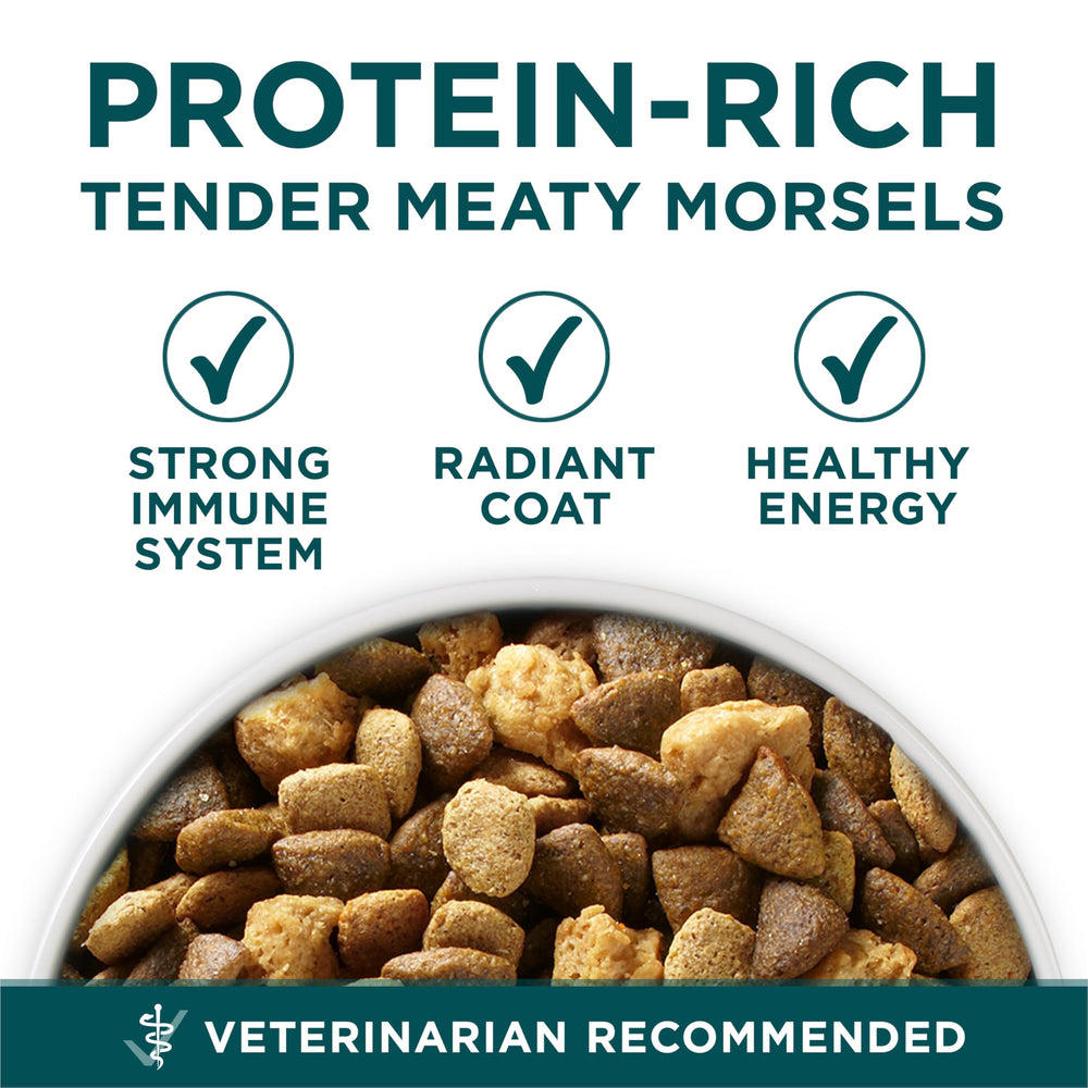 Purina ONE Plus con aceites omega-6 para pelaje sano