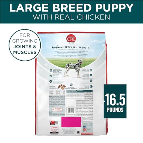 Purina ONE Plus, fórmula con antioxidantes para defensa natural