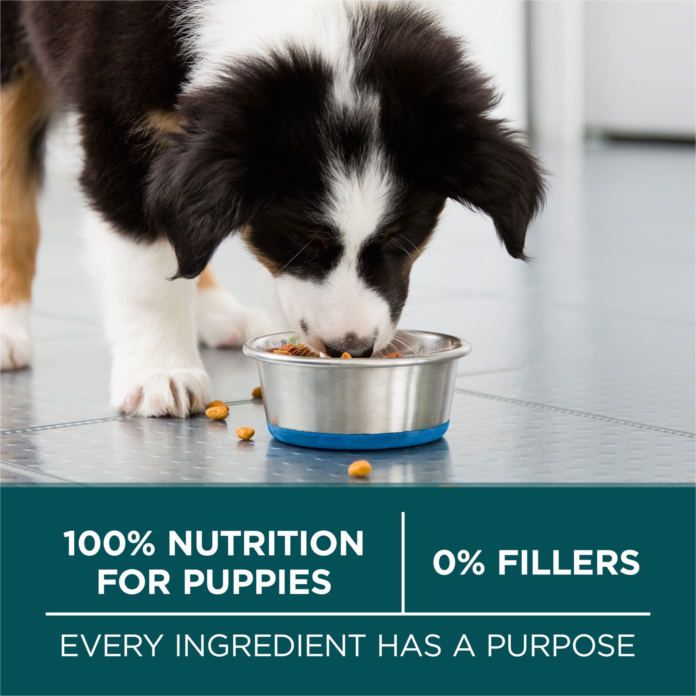 Purina ONE Plus, textura crujiente y trocitos tiernos para gusto