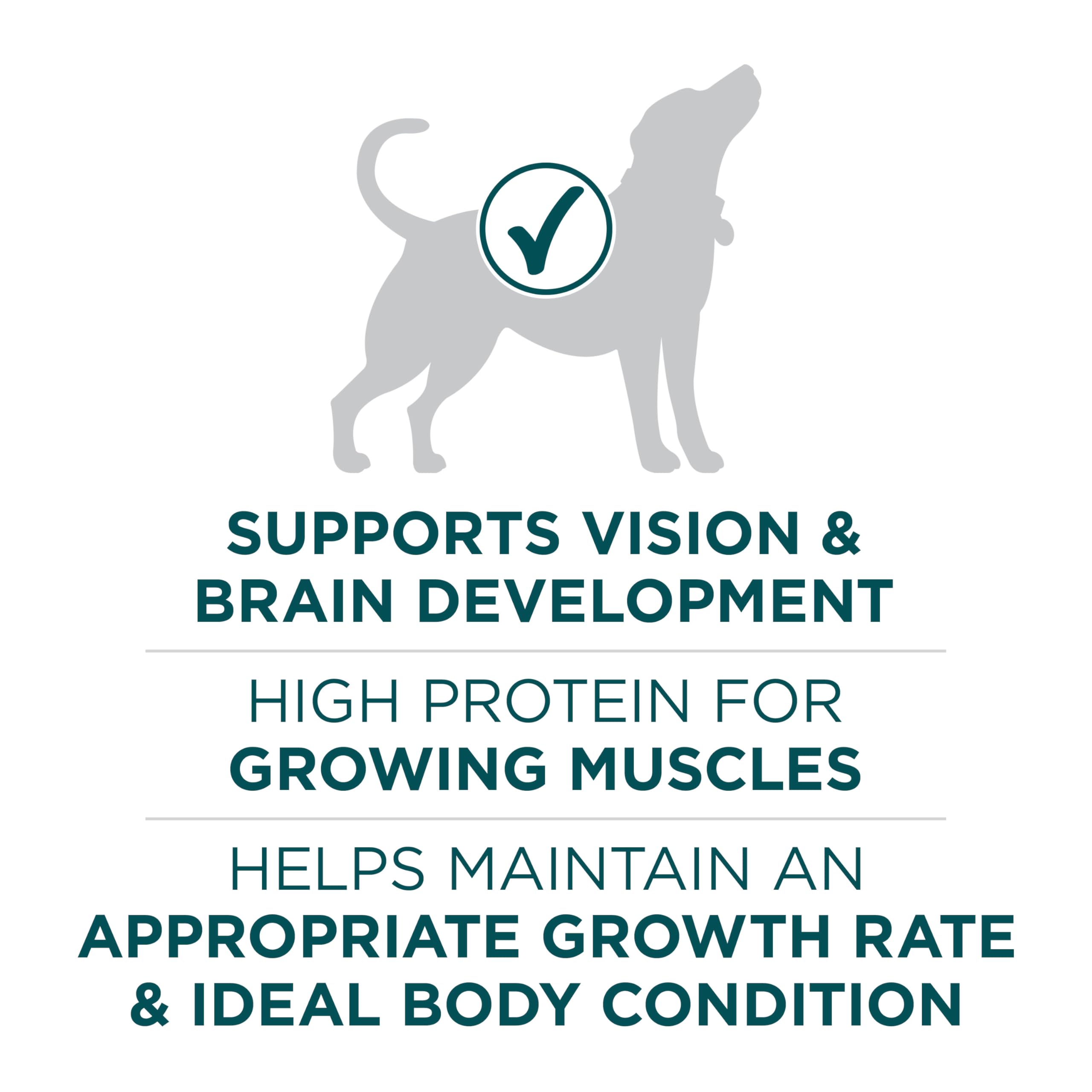 Purina ONE Plus, trozos de carne para proteína de calidad