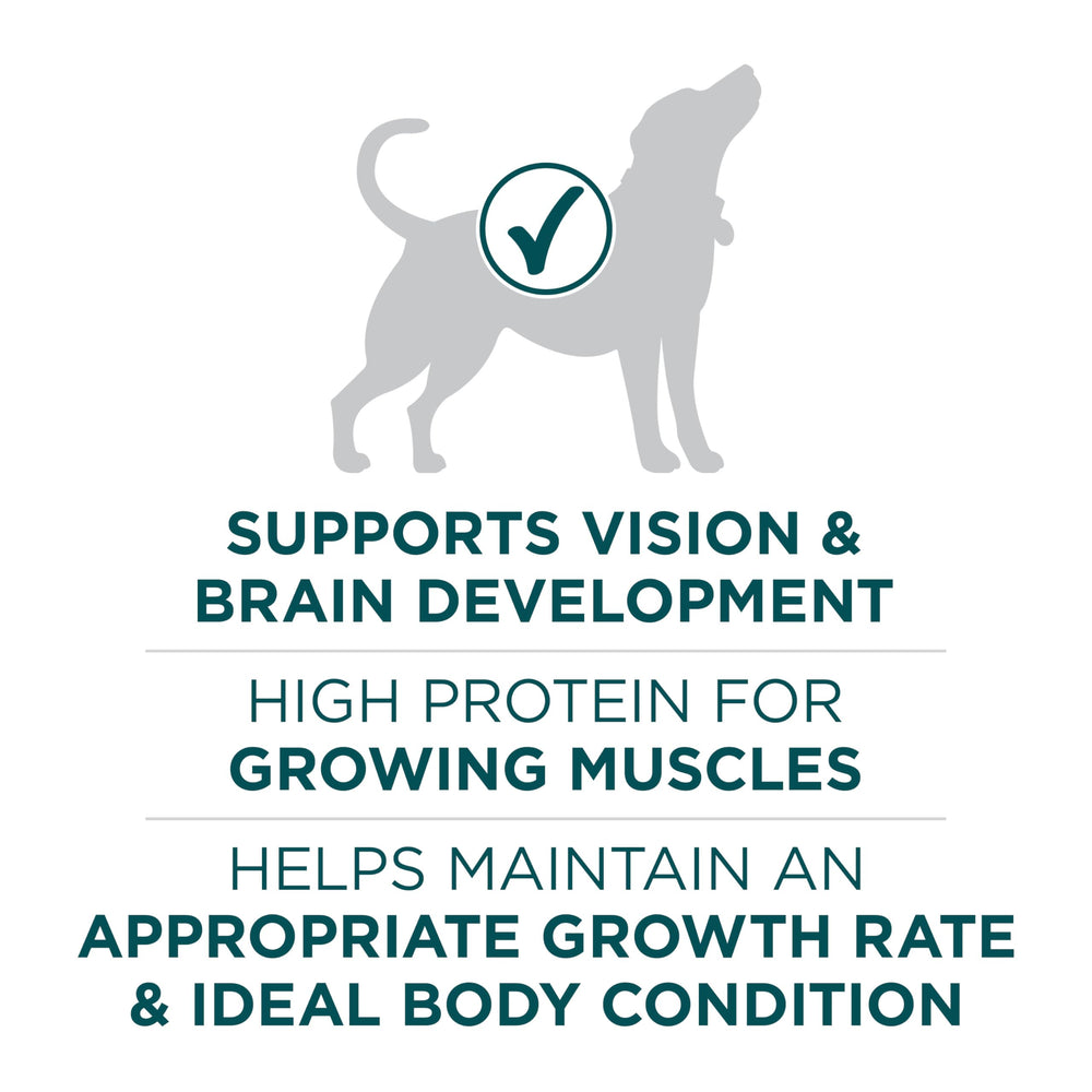 Purina ONE Plus, trozos de carne para proteína de calidad
