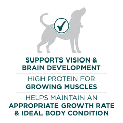 Purina ONE Plus, trozos de carne para proteína de calidad